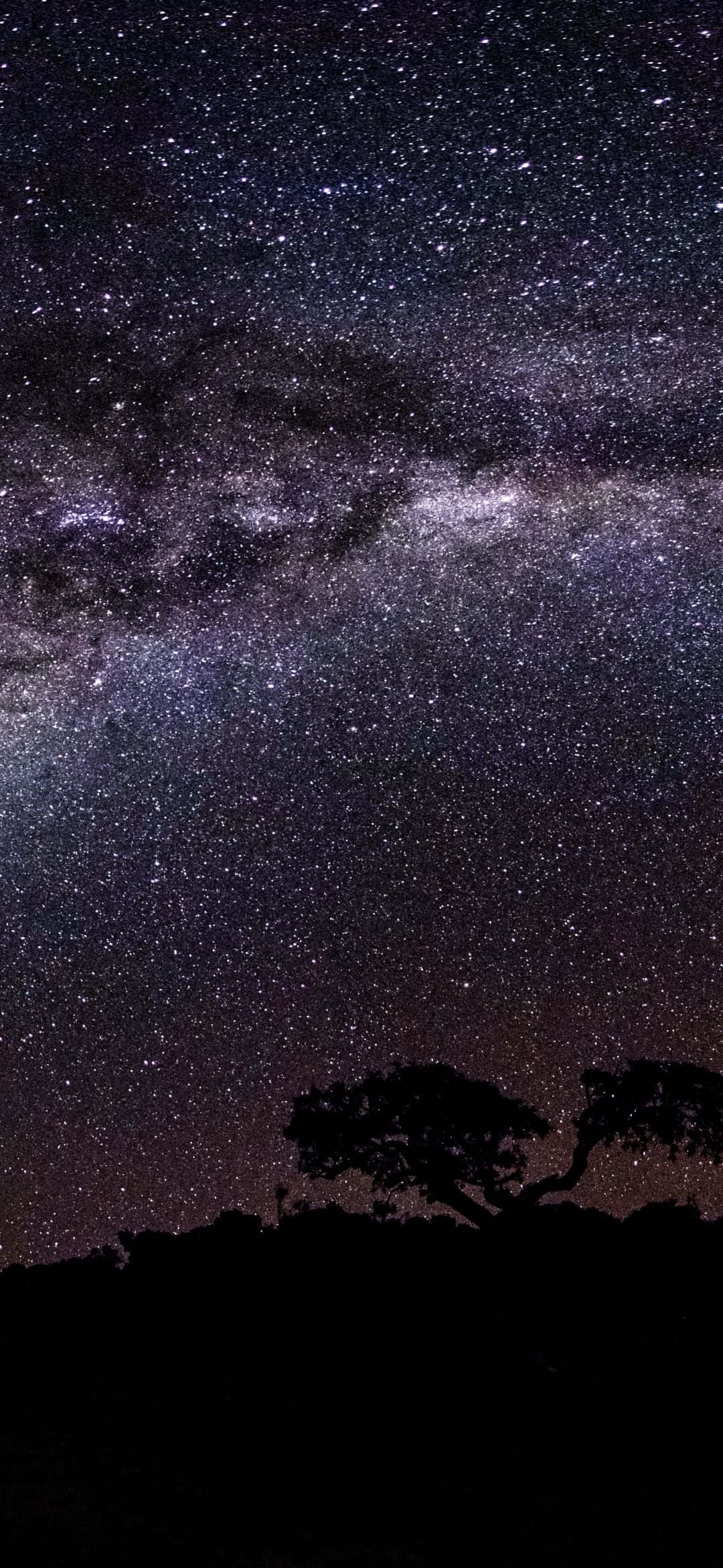 1080x2340 4K Cer Nocturn Calea Lactee Fundal