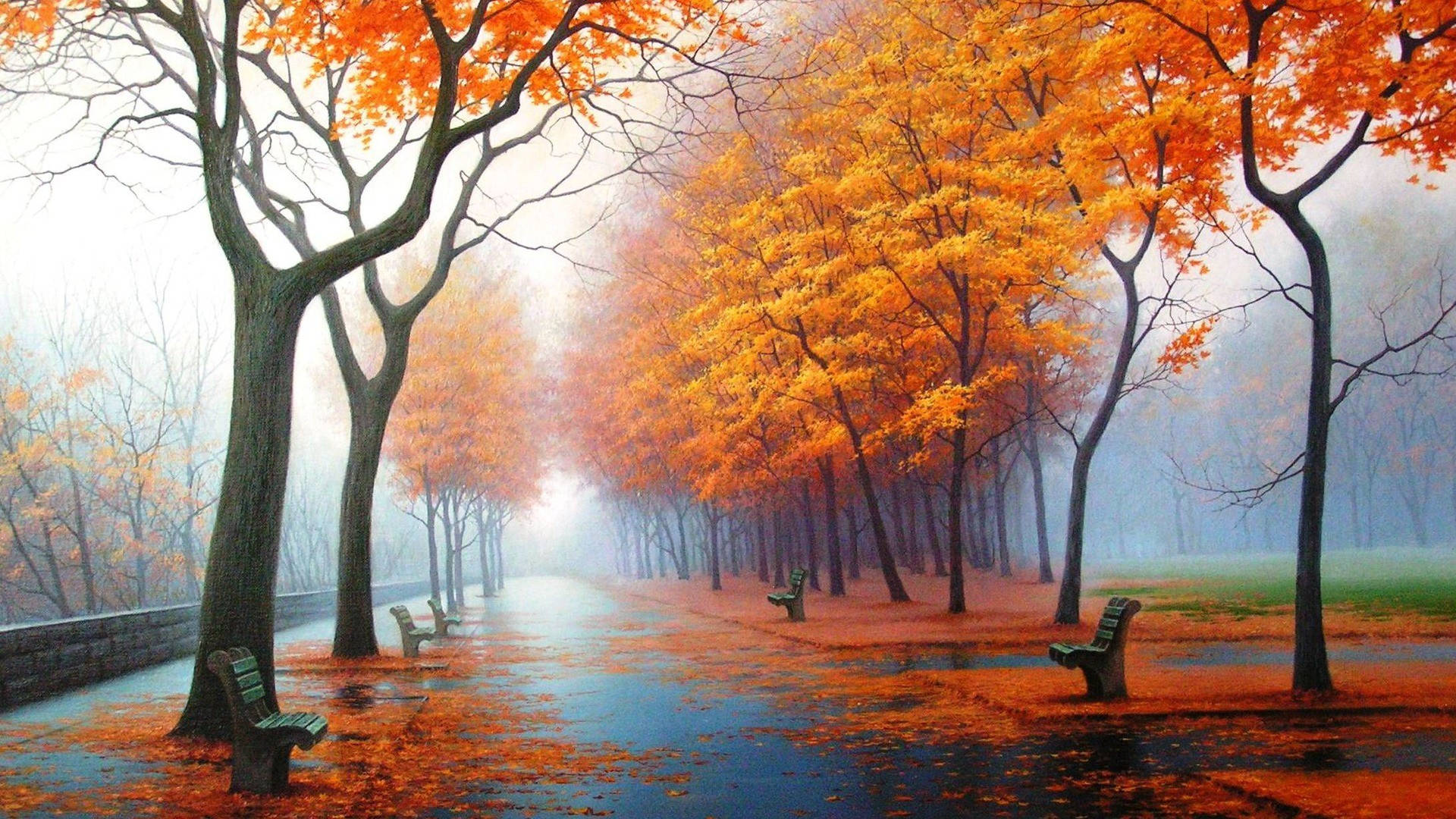 1920x1080 Full HD Natură Frunze Portocalii Copaci Fundal