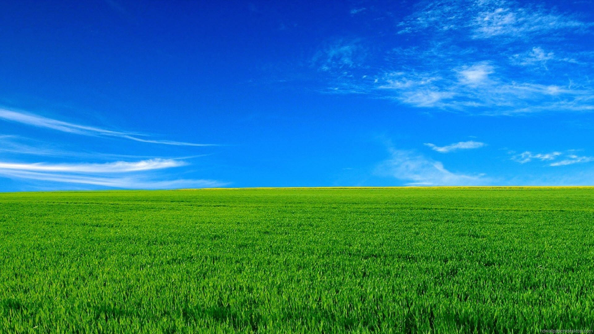 1920x1080 Full HD Natură Iarbă Verde Cer Albastru Fundal
