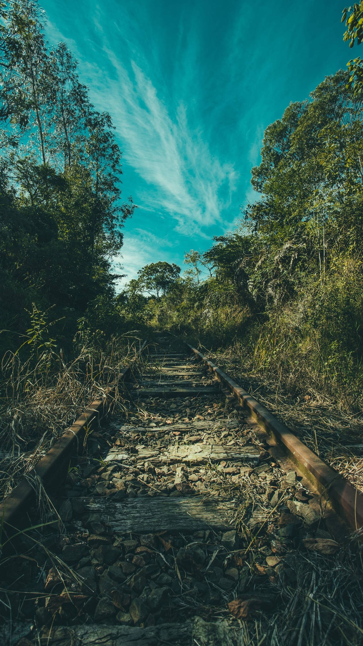 4K Cale Ferată Veche cu Tren Fundal