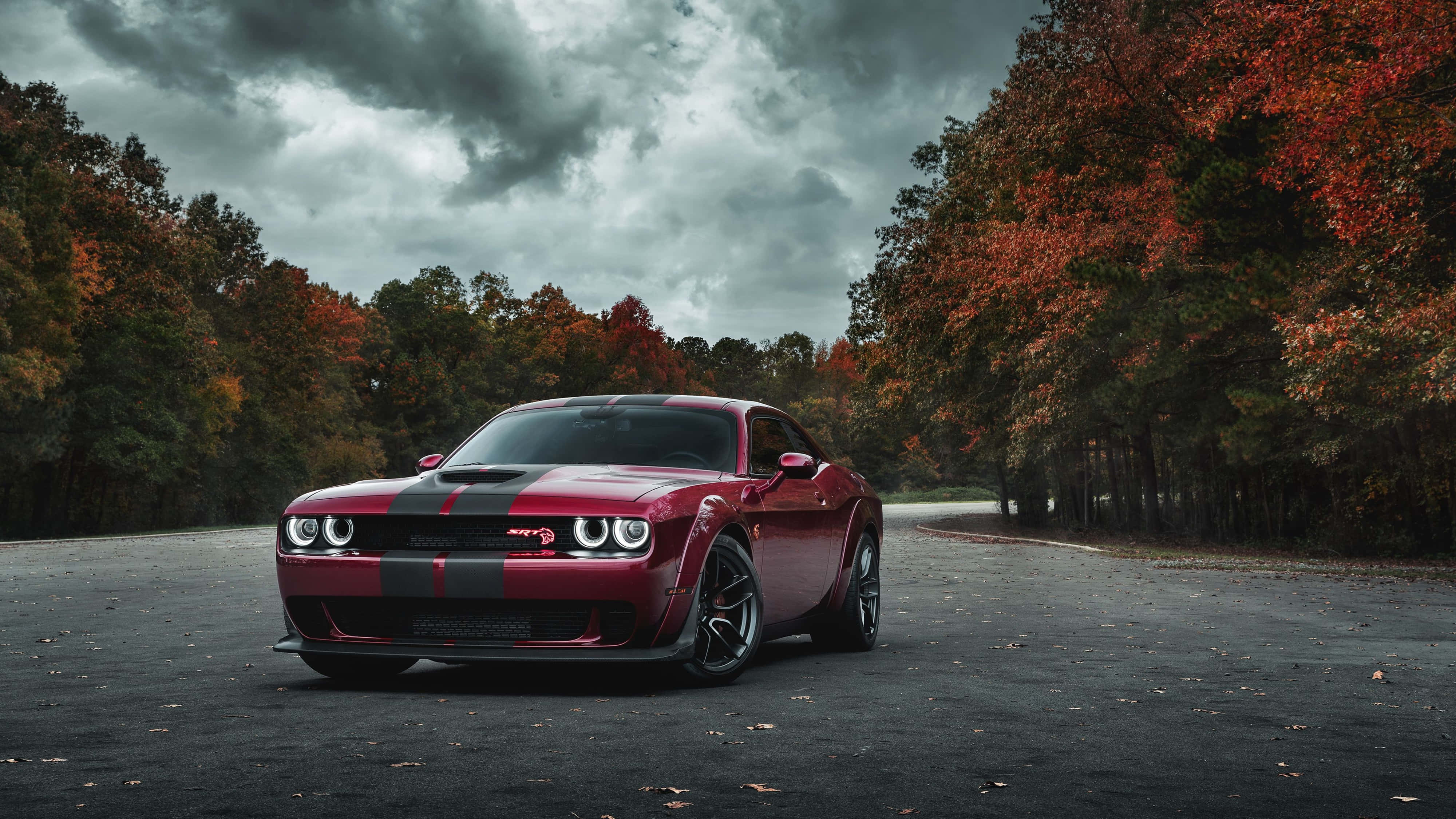 4K Dodge Hellcat în Parcarea din Pădure Fundal
