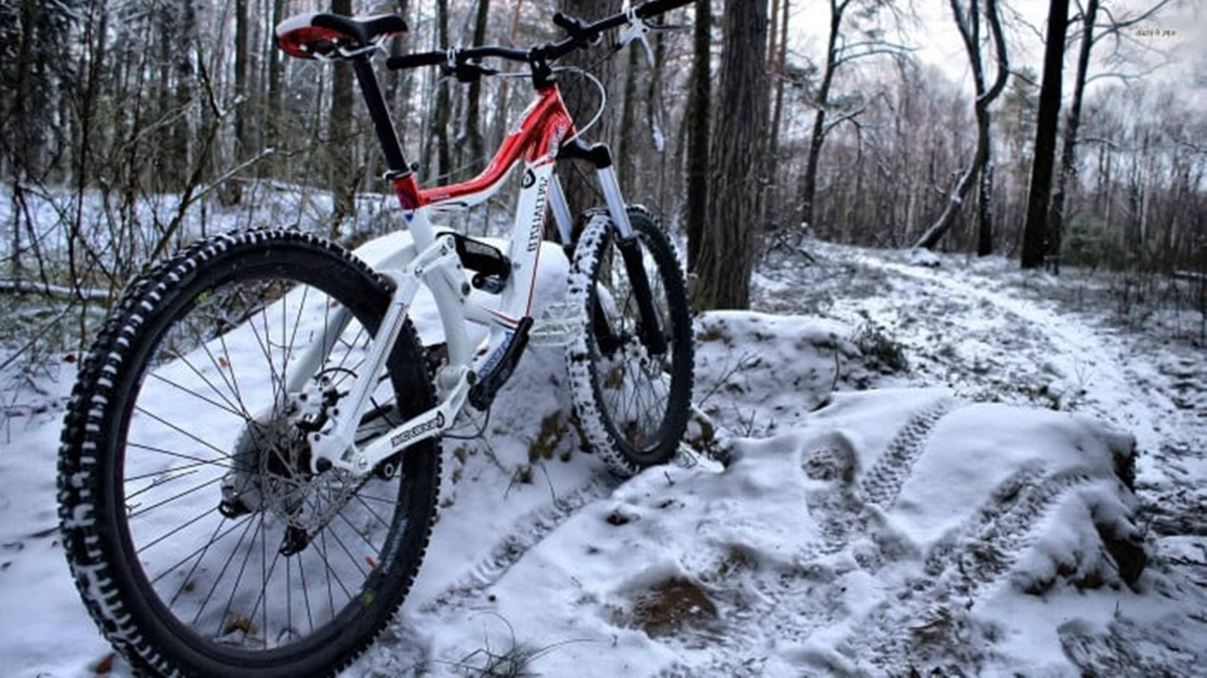 4K Mountain Bike Pe Zăpadă în Pădure Fundal