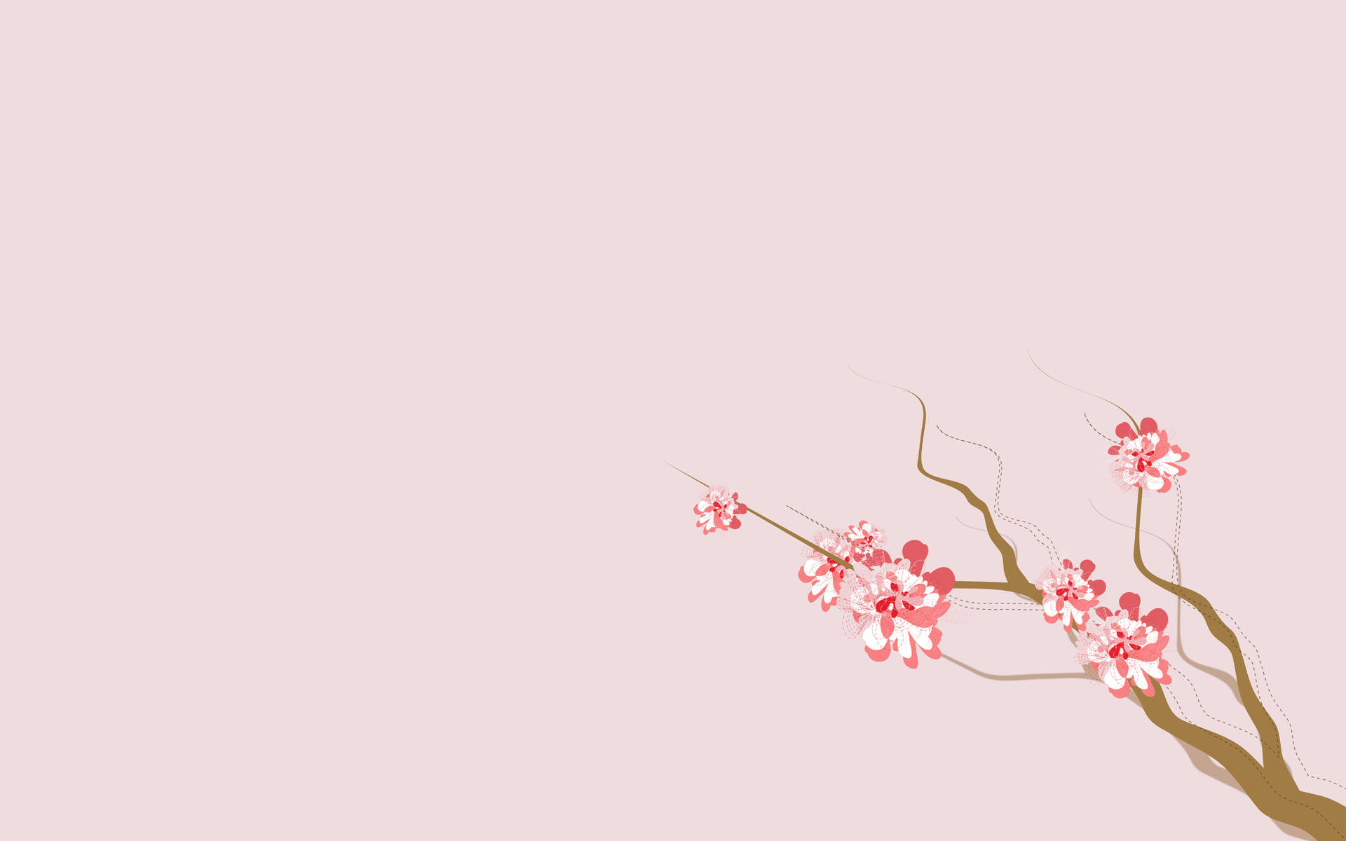 4K Natură Flori Sakura Fundal