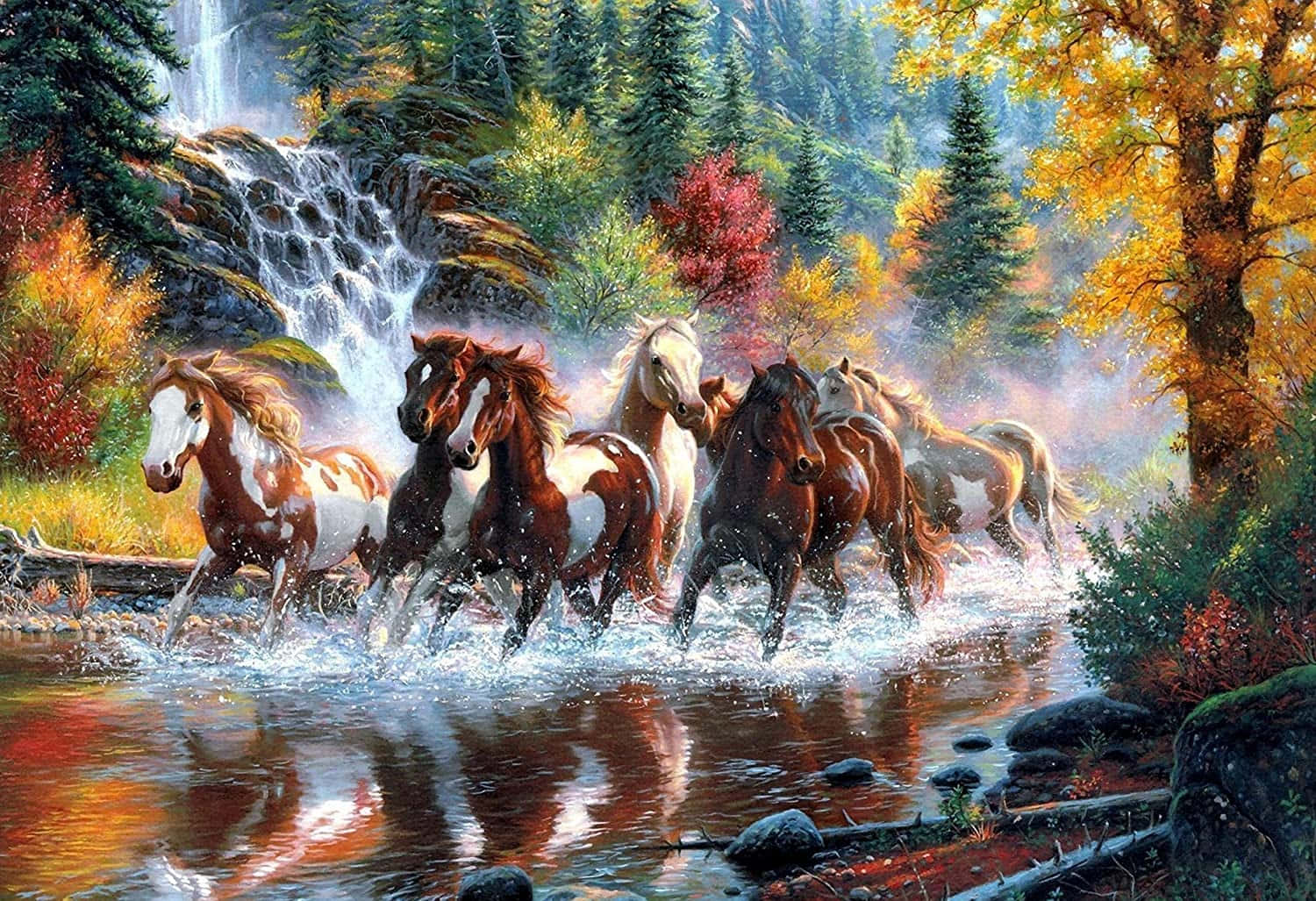 7 Cai Mergând prin Râul din Pădure Fundal