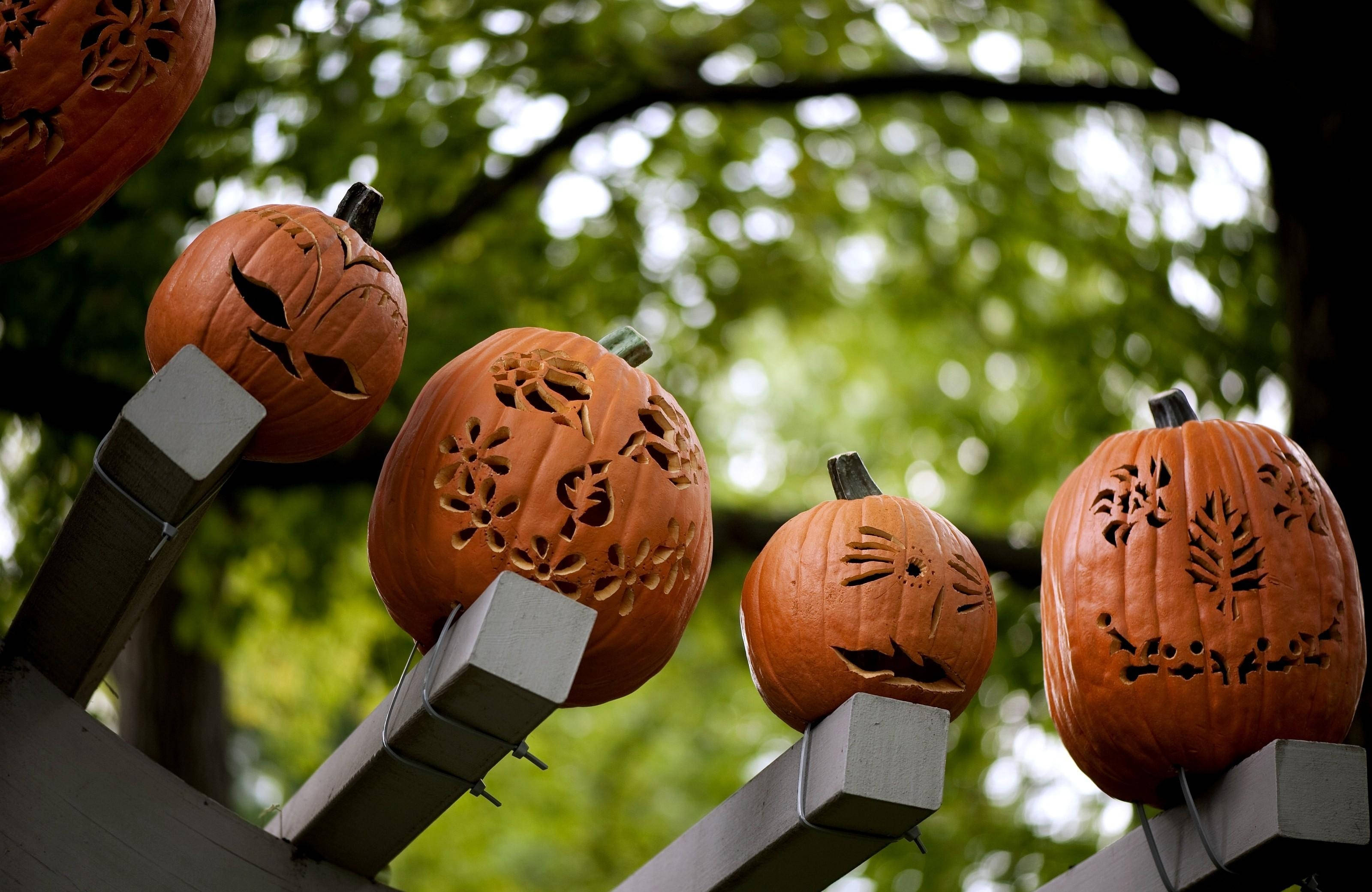 "Aceste dovleci înfricoșători vor aduce cu siguranță o sperietură de Halloween!" Fundal