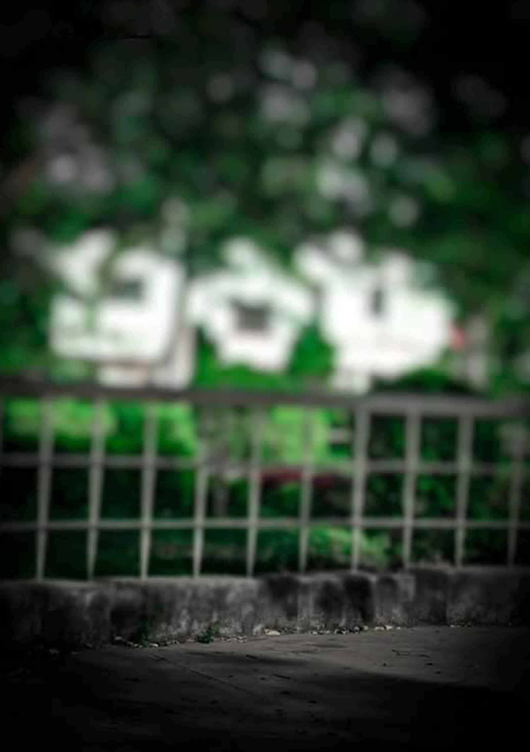 Adâncuri Misterioase ale Verdele Închis Fundal