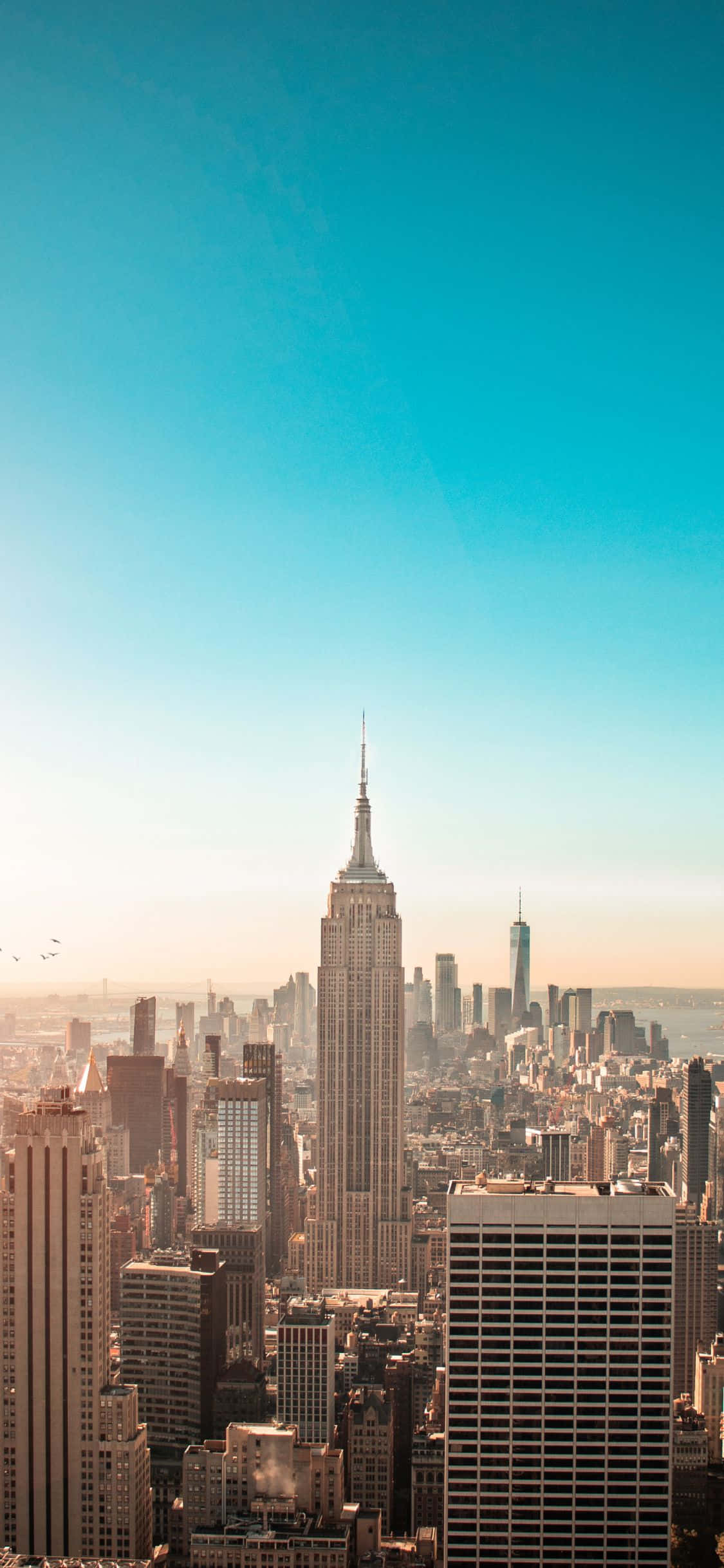 Admiră peisajele New York-ului cu cel mai recent iPhone—iPhone Xs Fundal