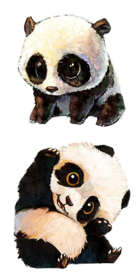 Adorabil pereche de panda animați Fundal