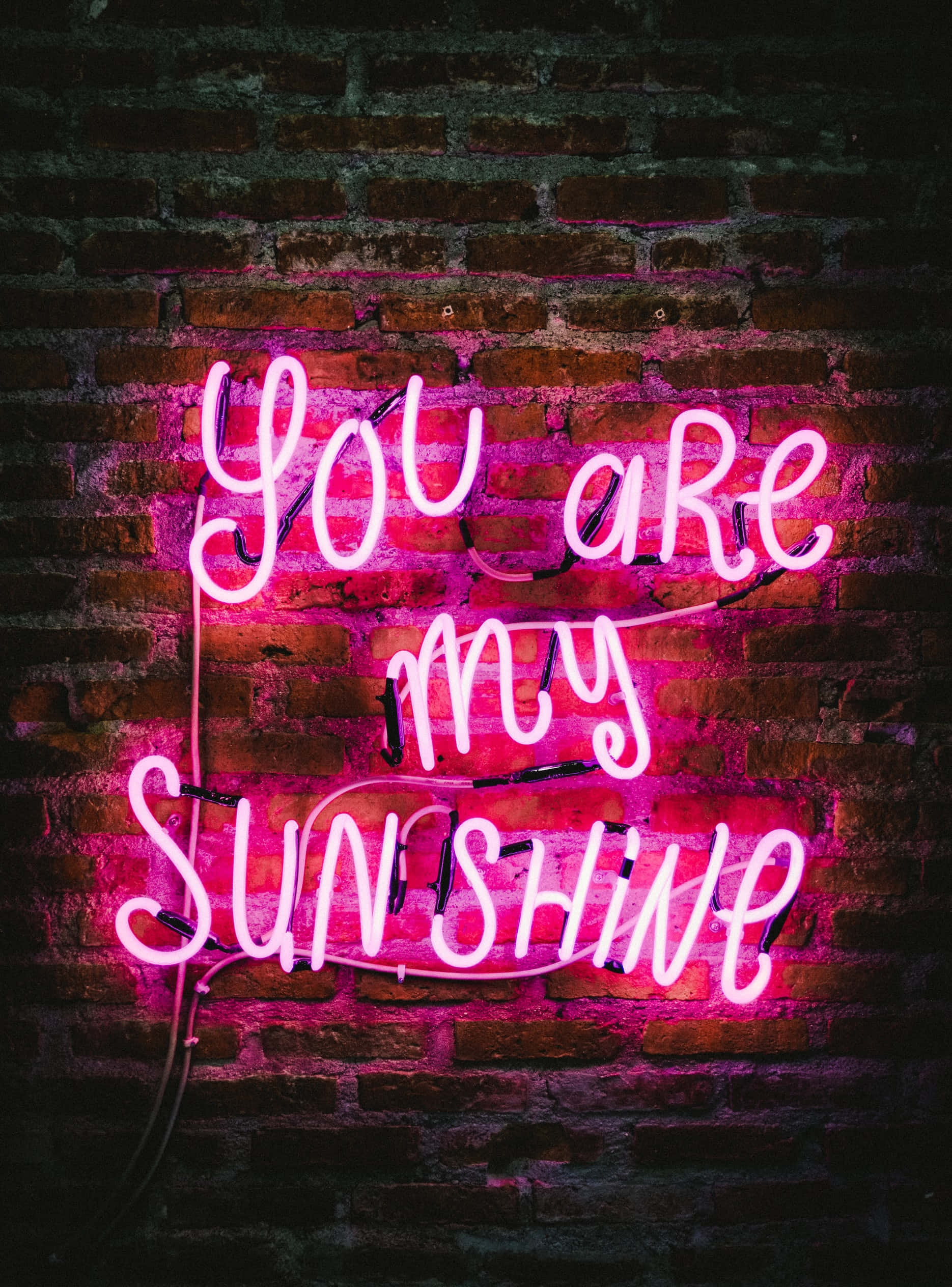 Adu culoarea la viață cu acest Neon Aesthetic vibrant Fundal