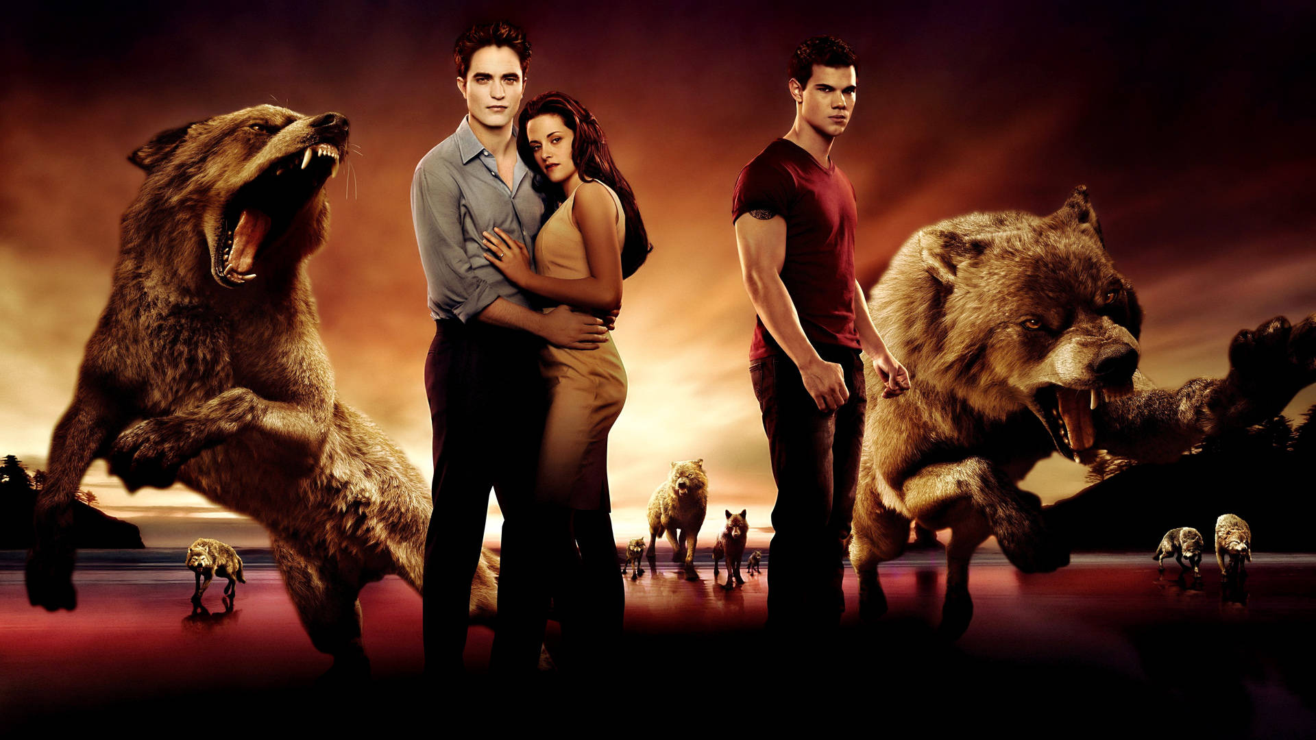 Afiș Excitant - The Twilight Saga Fundal