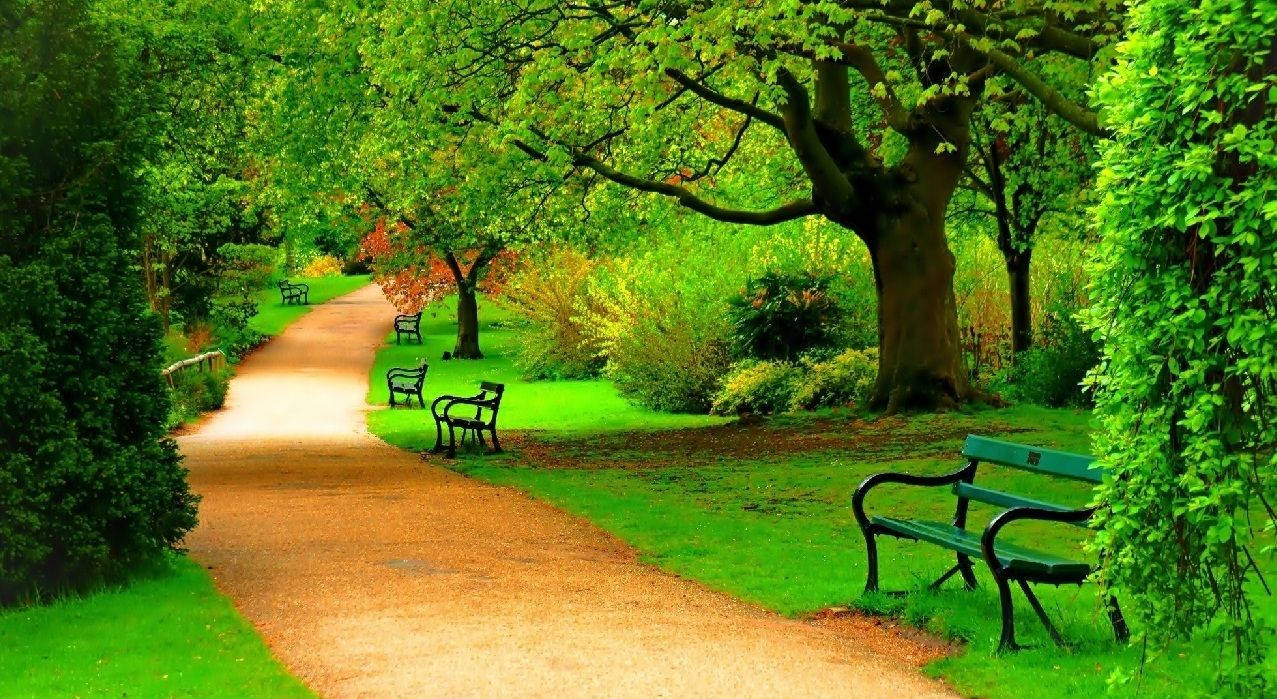 Aleuă în parc ecran complet HD desktop Fundal
