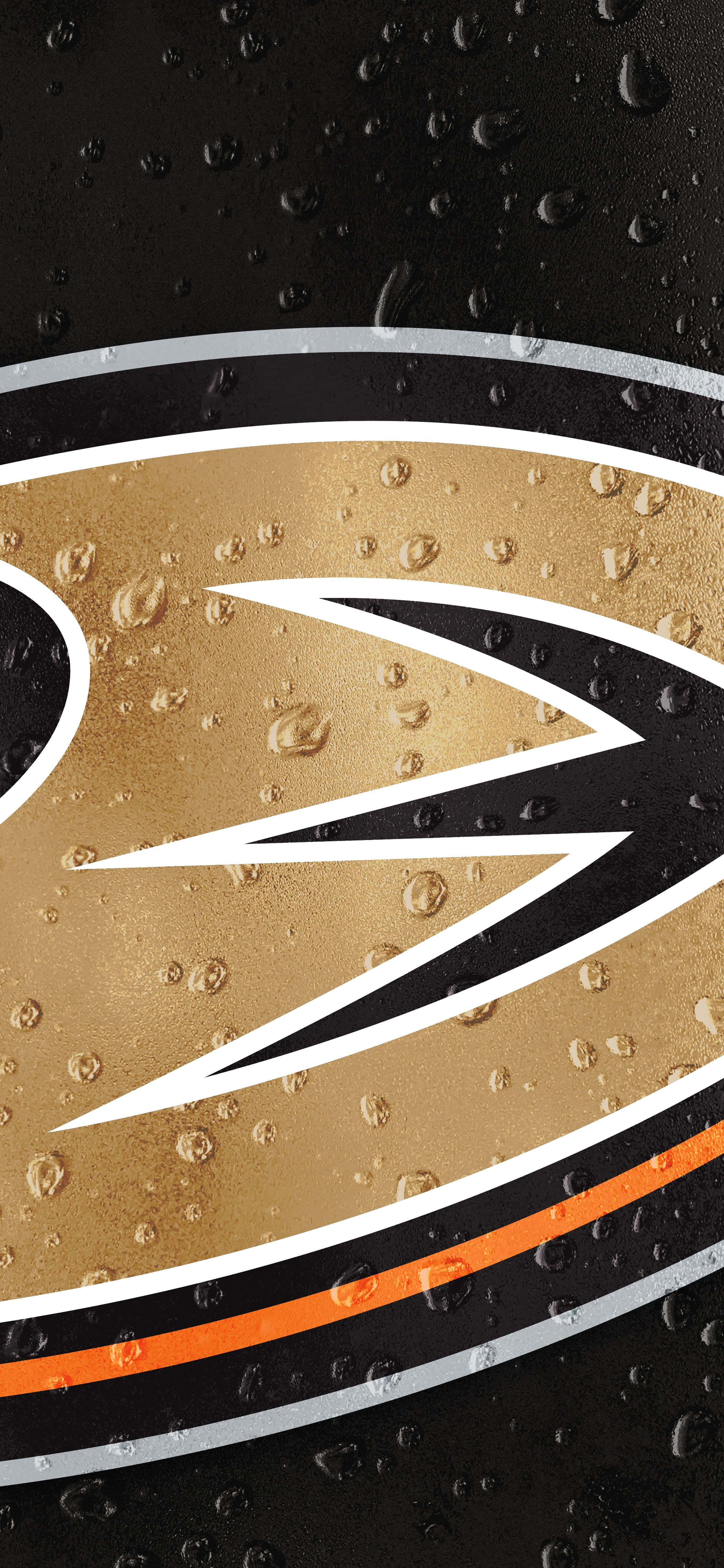 Anaheim Ducks intră în arenă cu stil Fundal