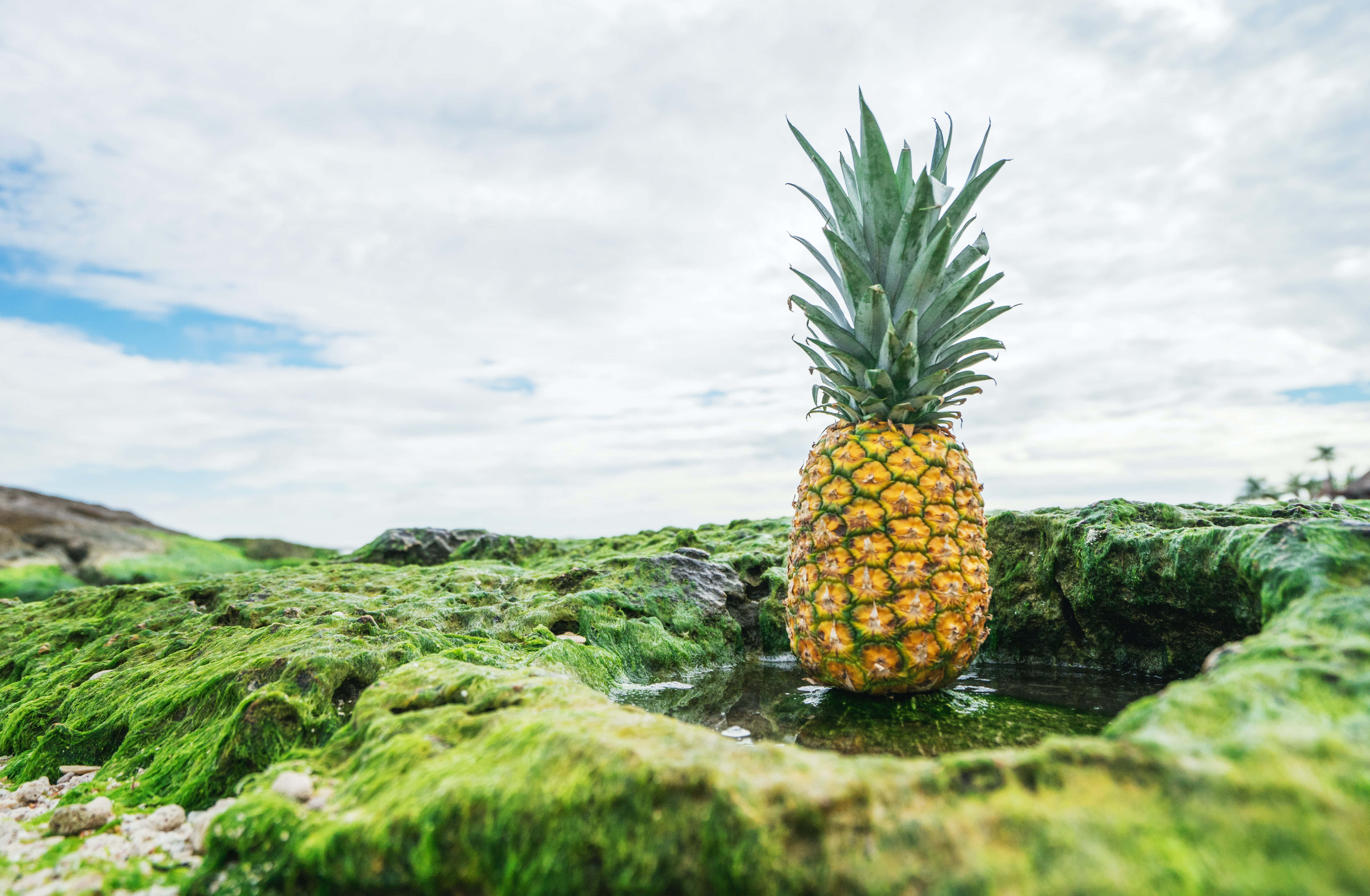 Ananas galben strălucitor cu frunze pe fundal roz Fundal