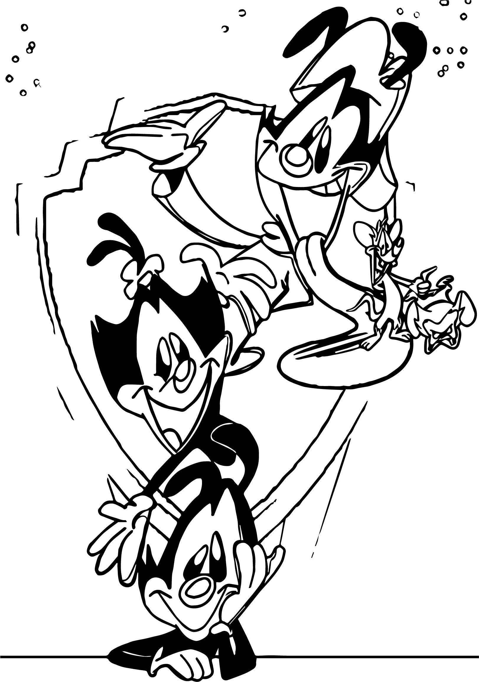 Animaniacs' Frații Warner Artă Schiță Fundal