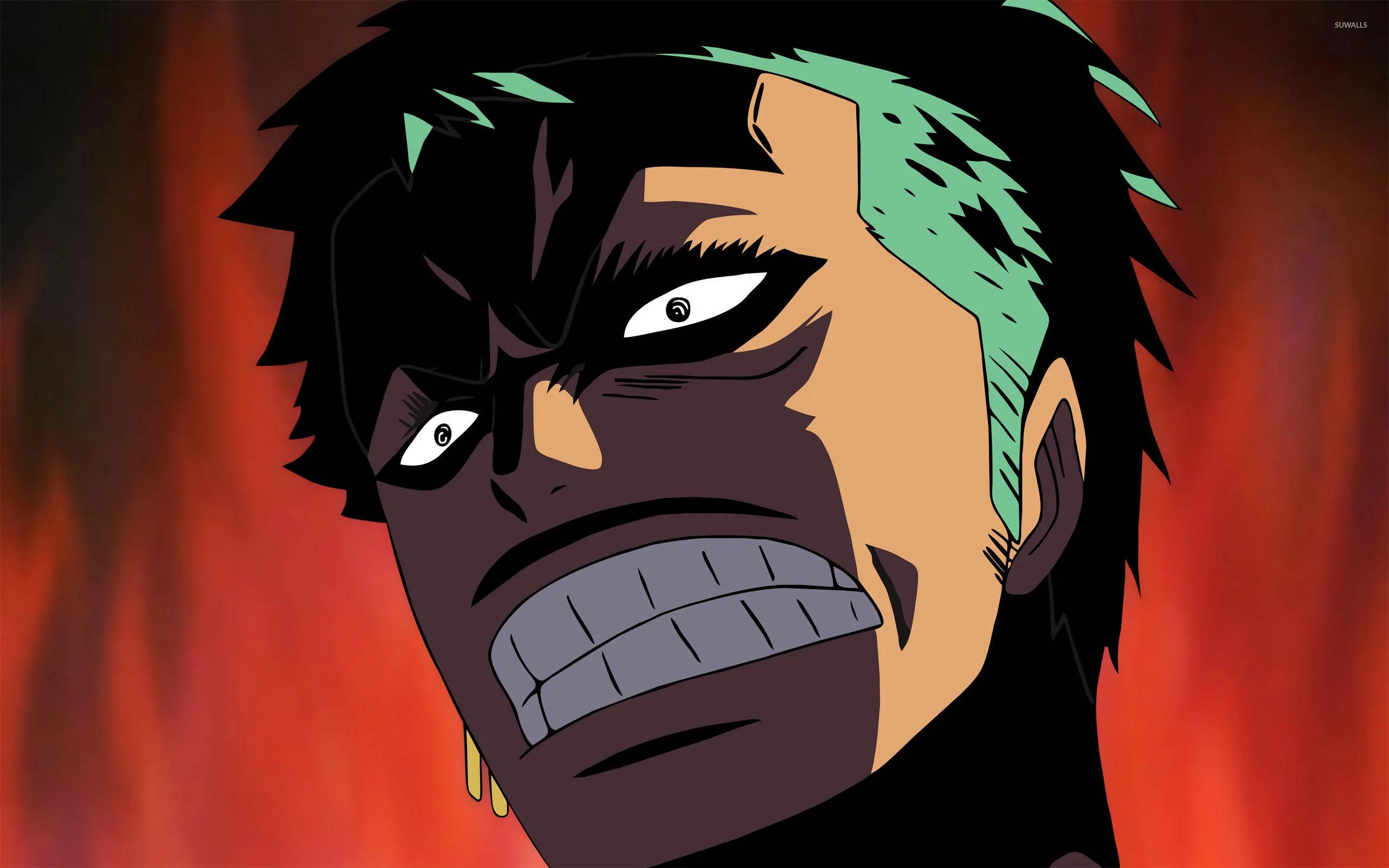 Anime Amuzant One Piece Zoro Fundal