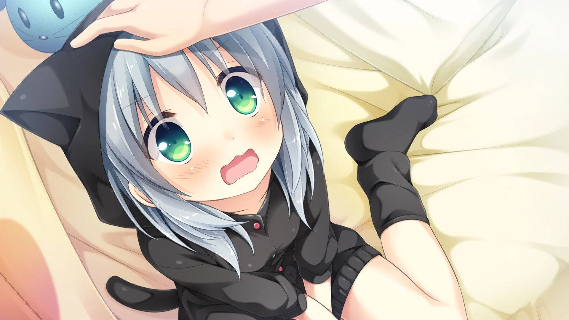 Anime Girl Hanorac Neko Fundal