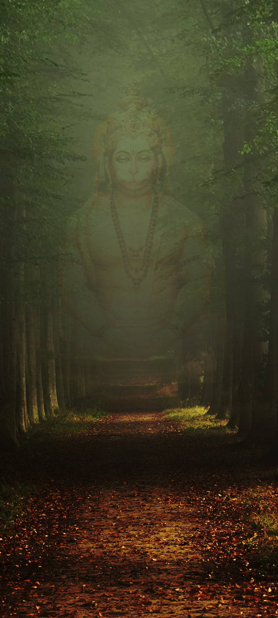 Aparitia Zeului Hindu Hanuman Fundal