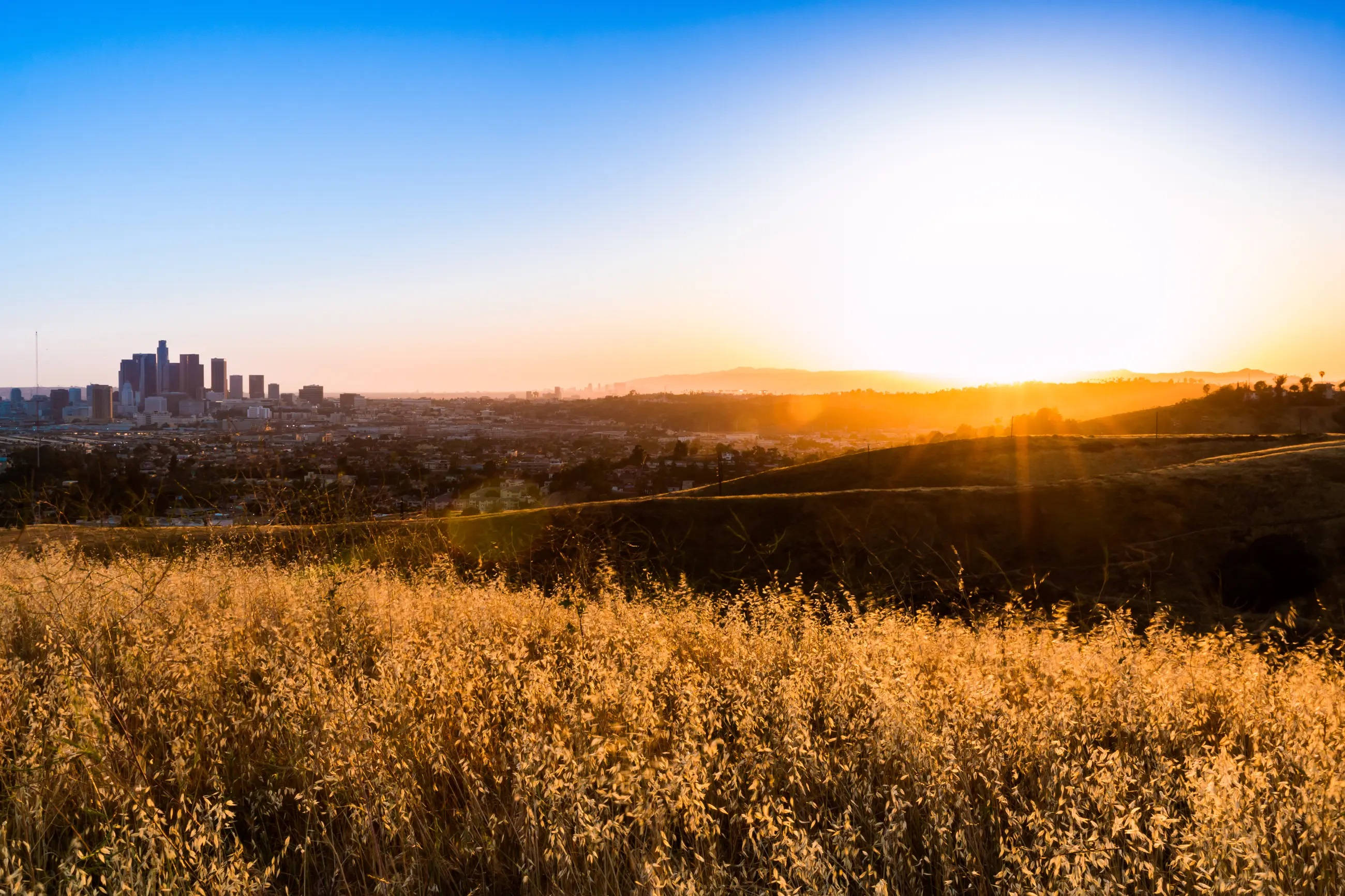 Apus de soare în Los Angeles, Ascot Hills Fundal