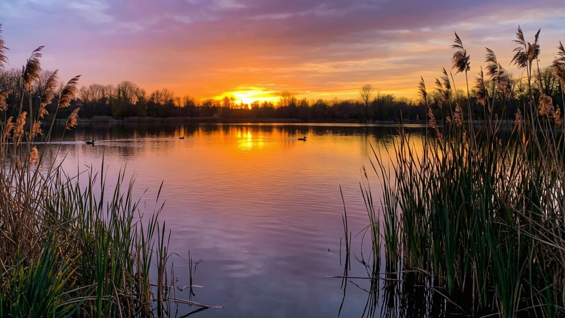 Apus de soare liniștit pe lac Fundal
