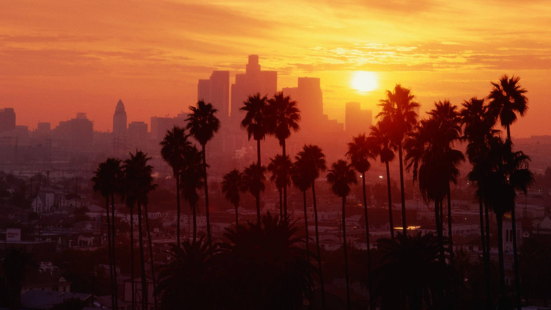 Apus de soare pe bulevardul Palm Tree din Los Angeles Fundal