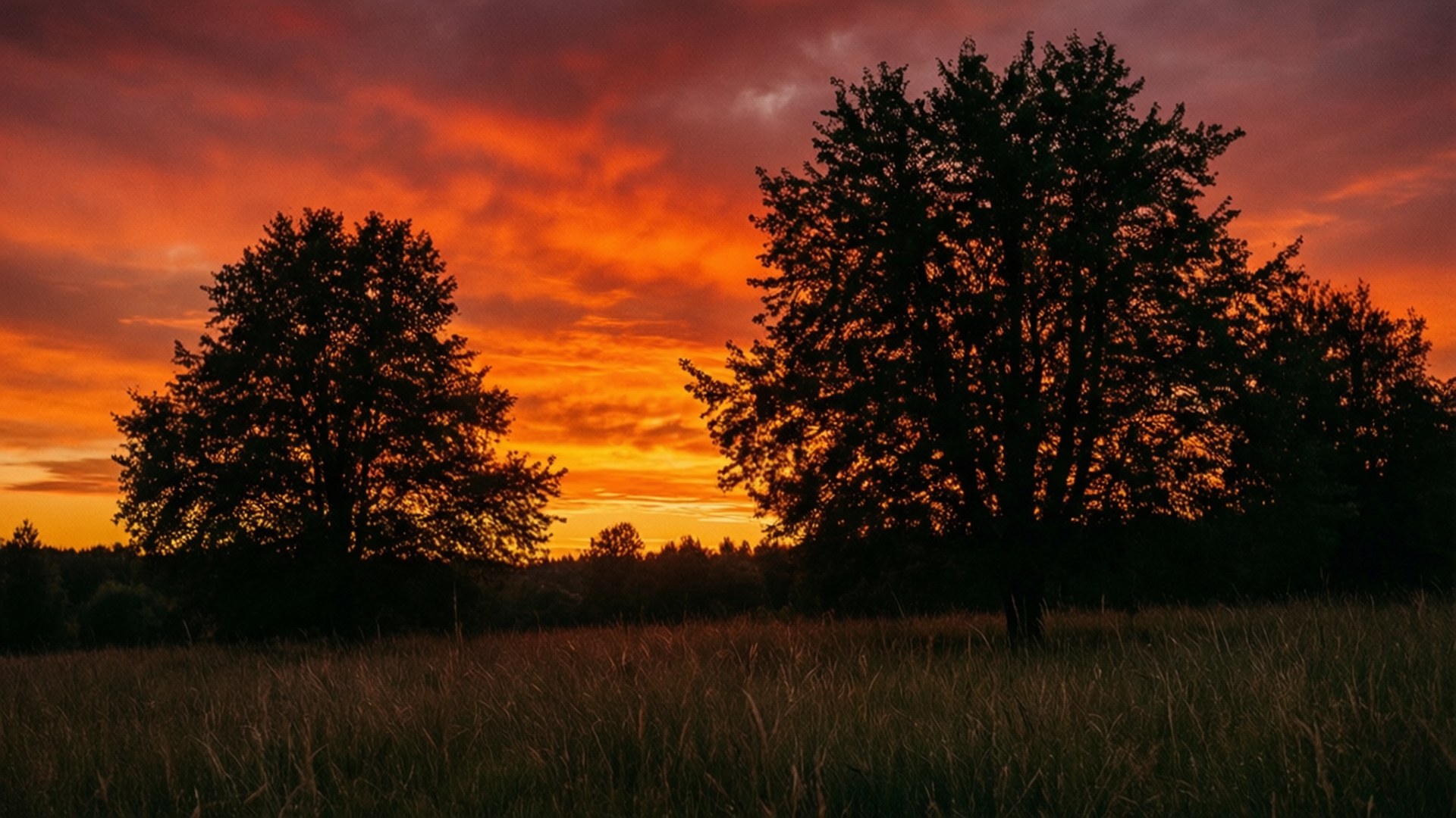 Apus de soare pe pajiște în flăcări Fundal
