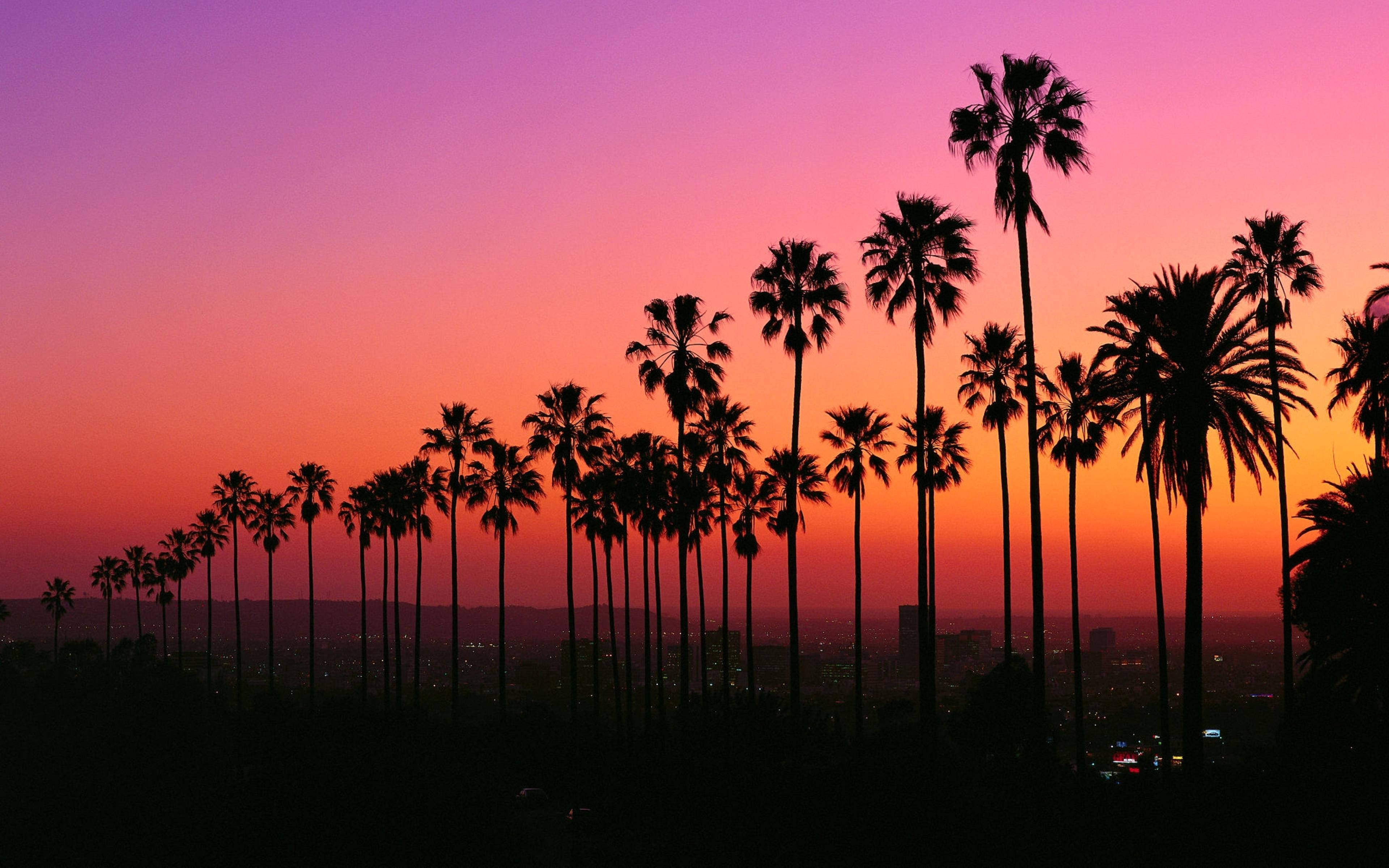 Apus de soare vibrant în Los Angeles Fundal
