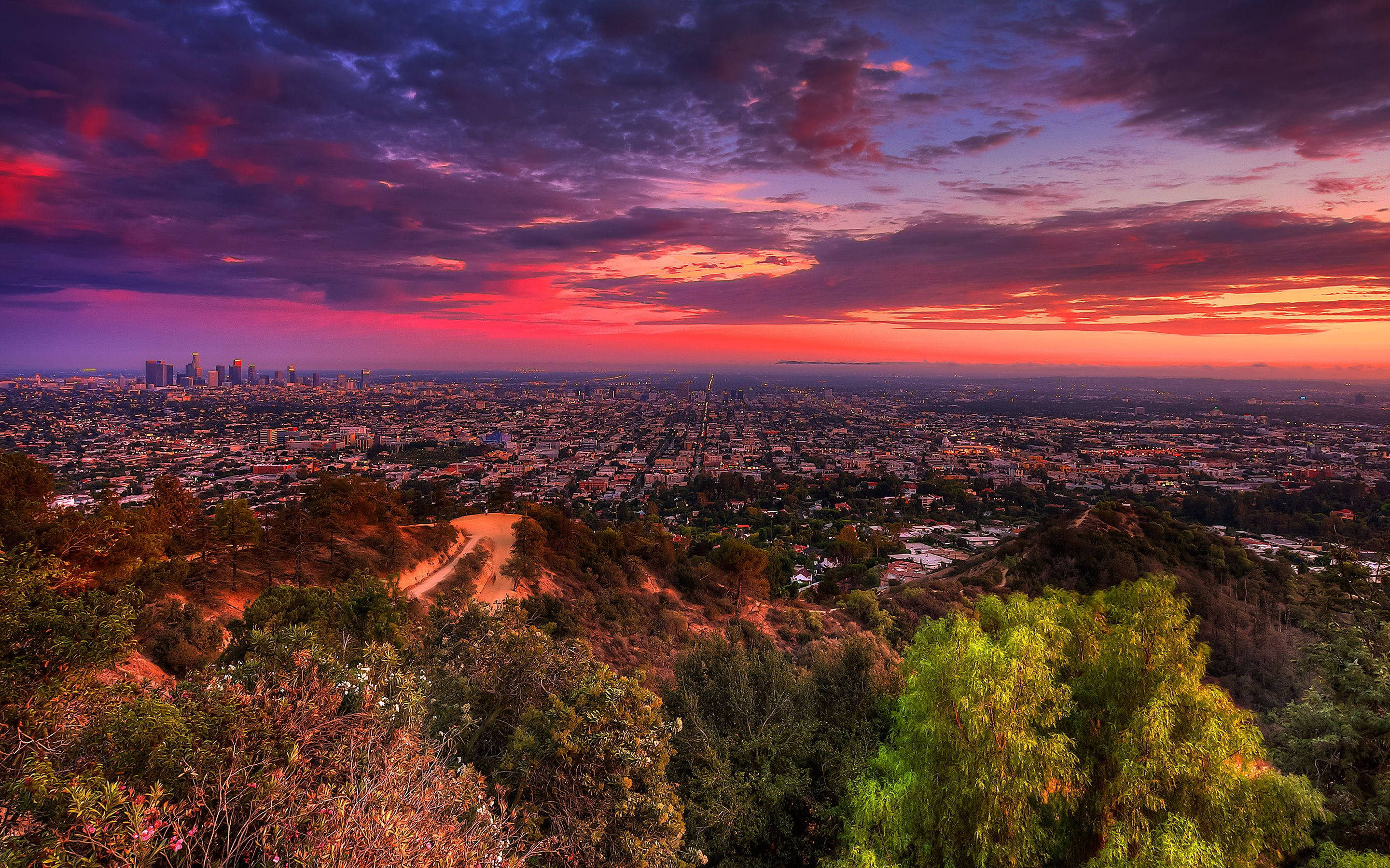 Apus magnific în Los Angeles Fundal