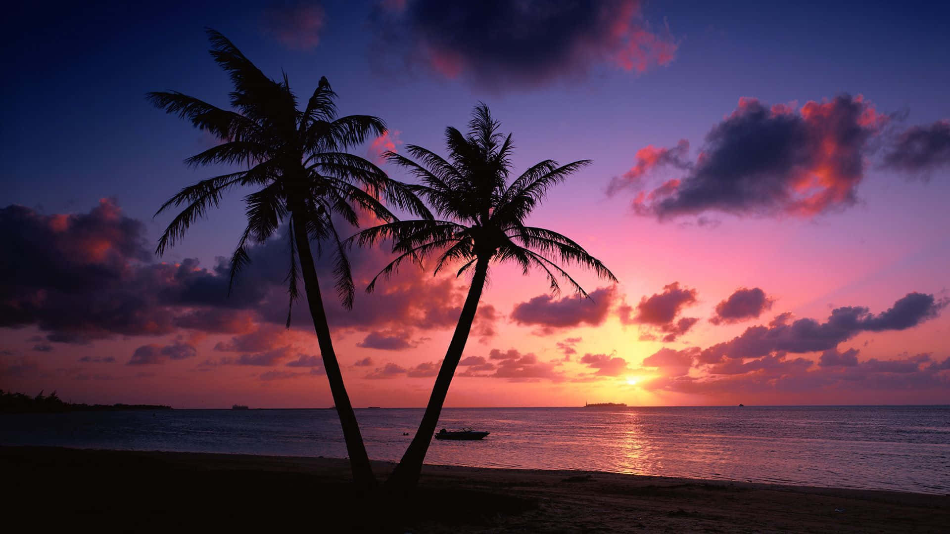 "Apus relaxant pe o plajă tropicală" Fundal
