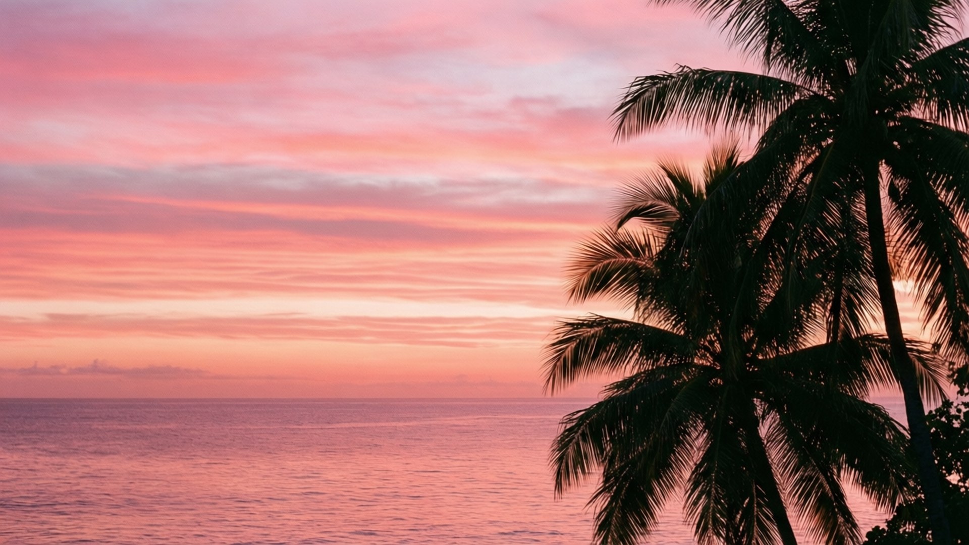 Apus tropical în pastel Fundal