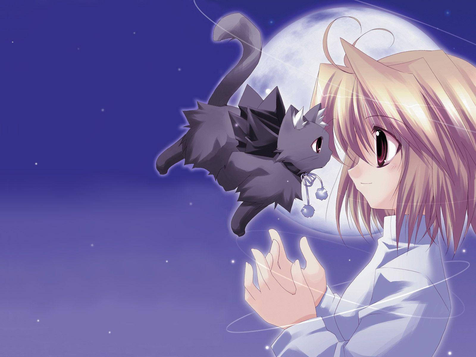 Arcueid Brunestud Kawaii Anime Cu Pisică Zburătoare Fundal