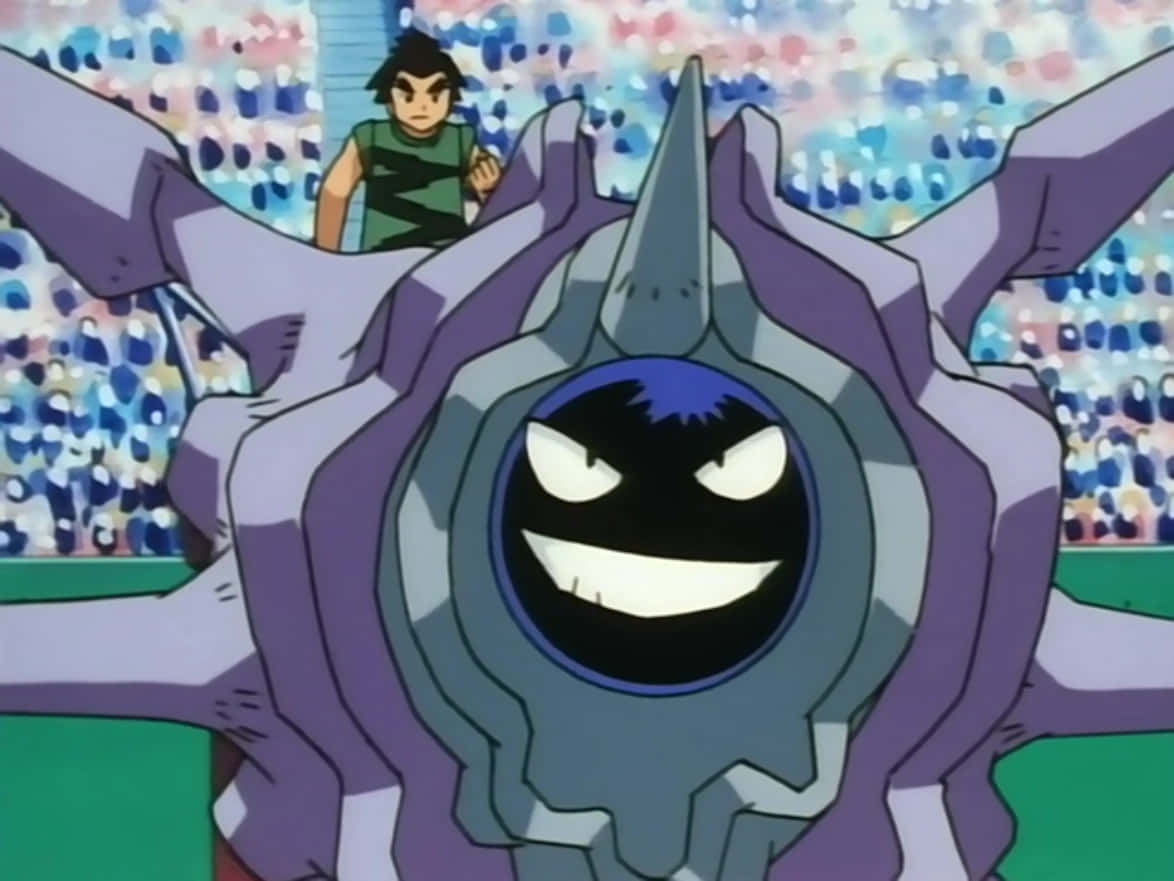 Arena Cloyster Fundal