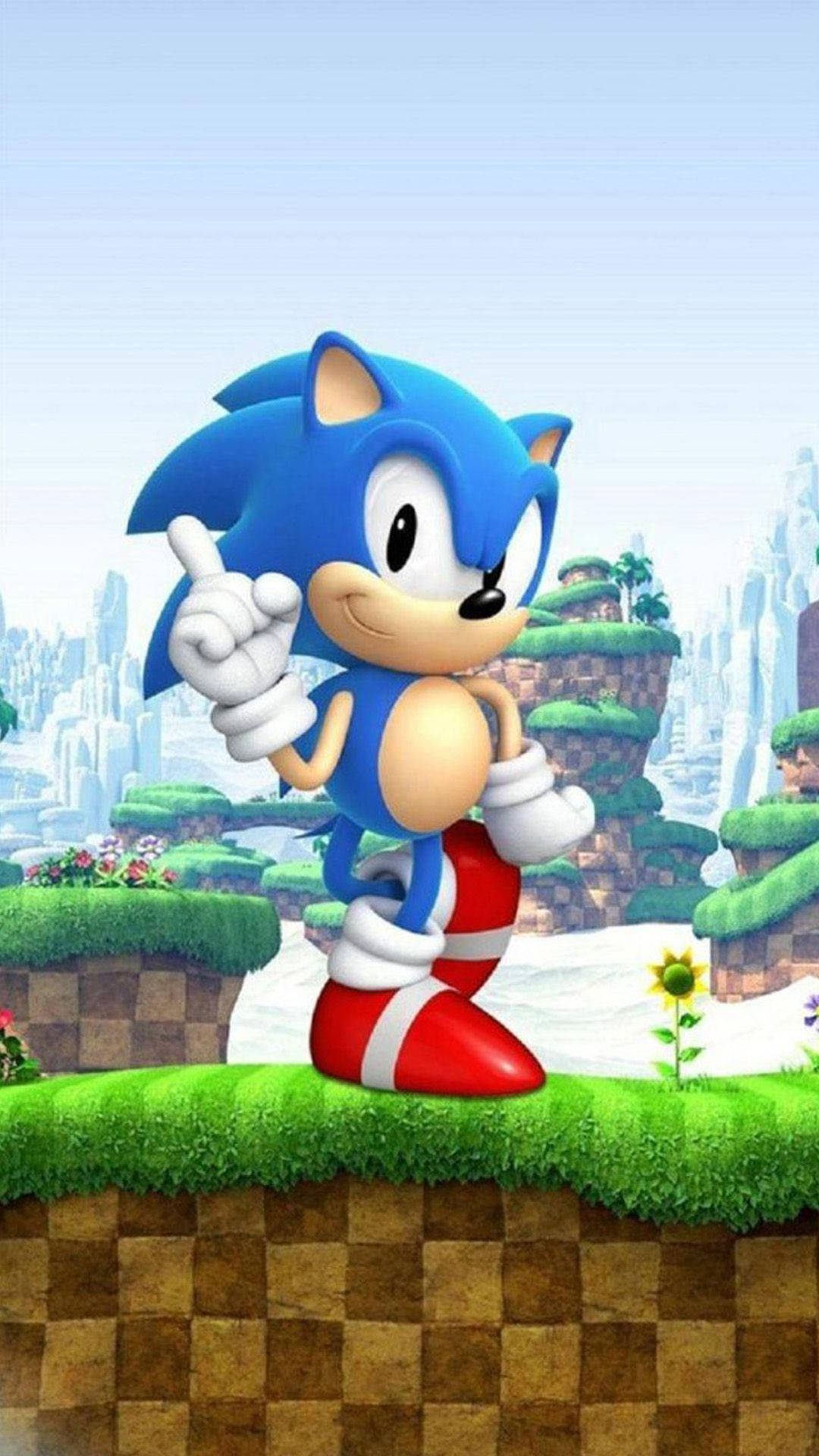 Tapet cu ariciul aventurier Sonic pe terase verzi. — Sonic Fundal