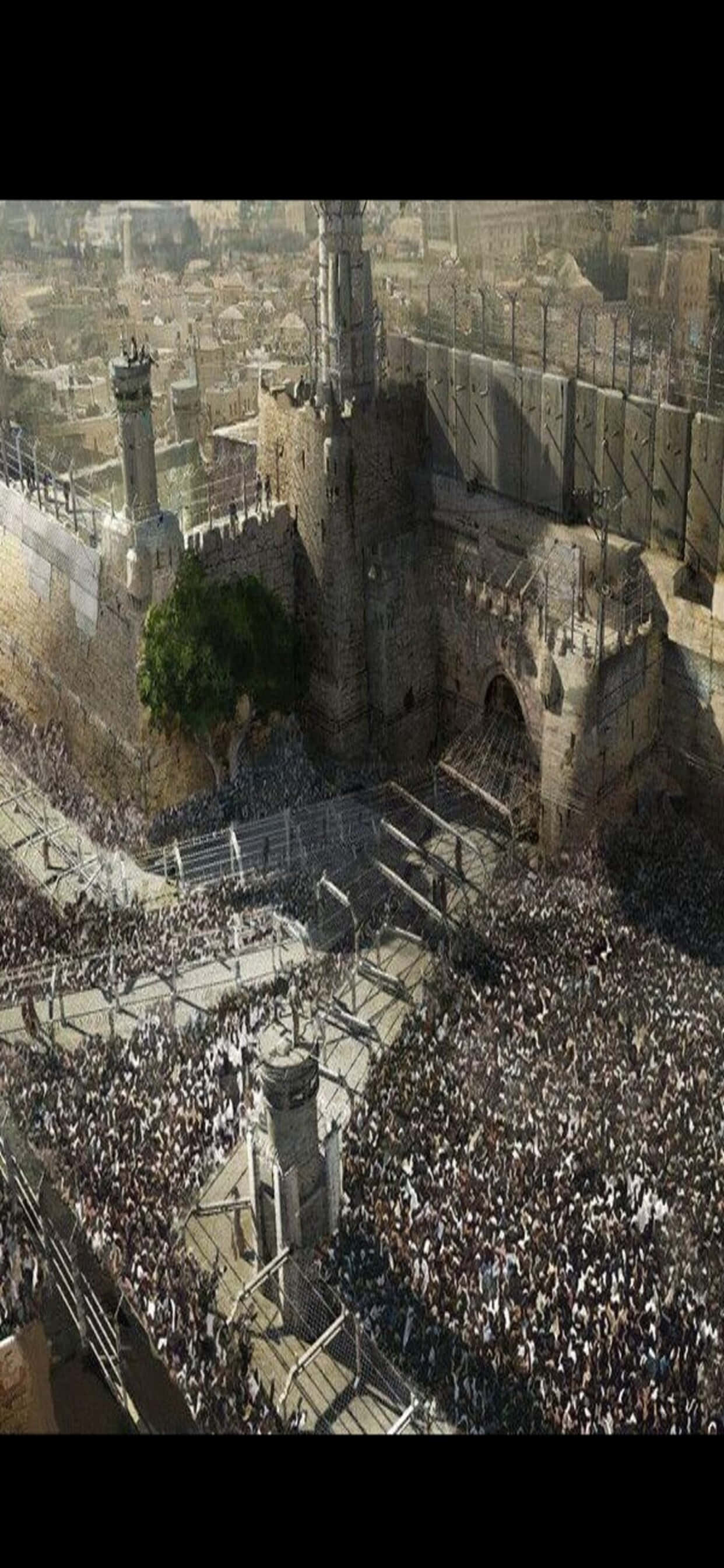 Artă Conceptuală Fundal iPhone XS Max World War Z Fundal