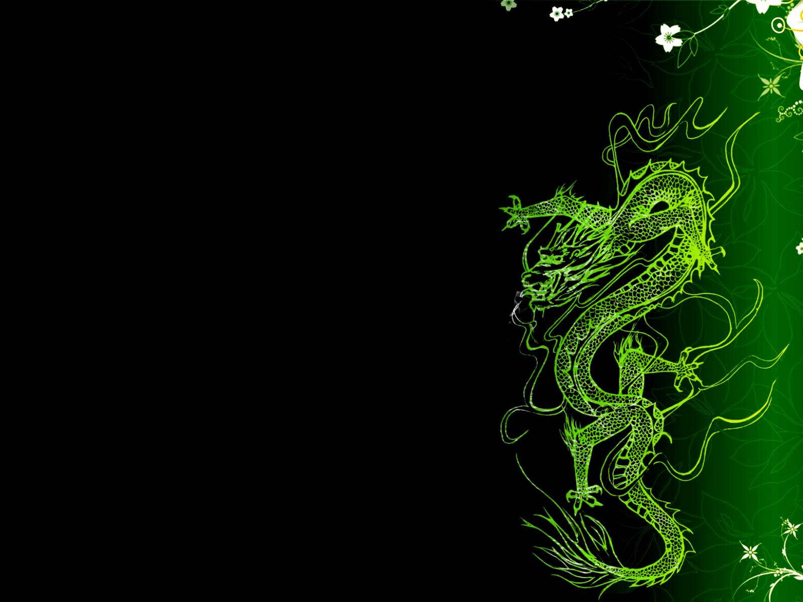 Artă japoneză cu dragon verde și negru pentru PC Fundal