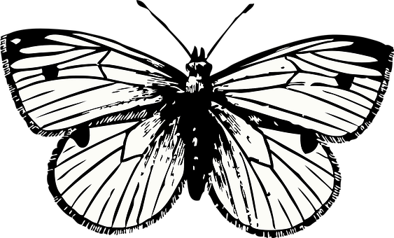 Artă siluetă de fluture monocrom Fundal