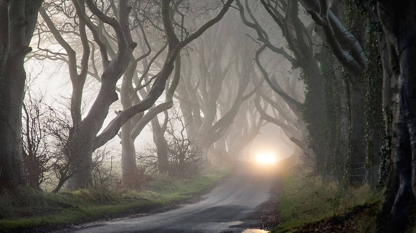 Artă vizuală misterioasă Dark Hedges Fundal