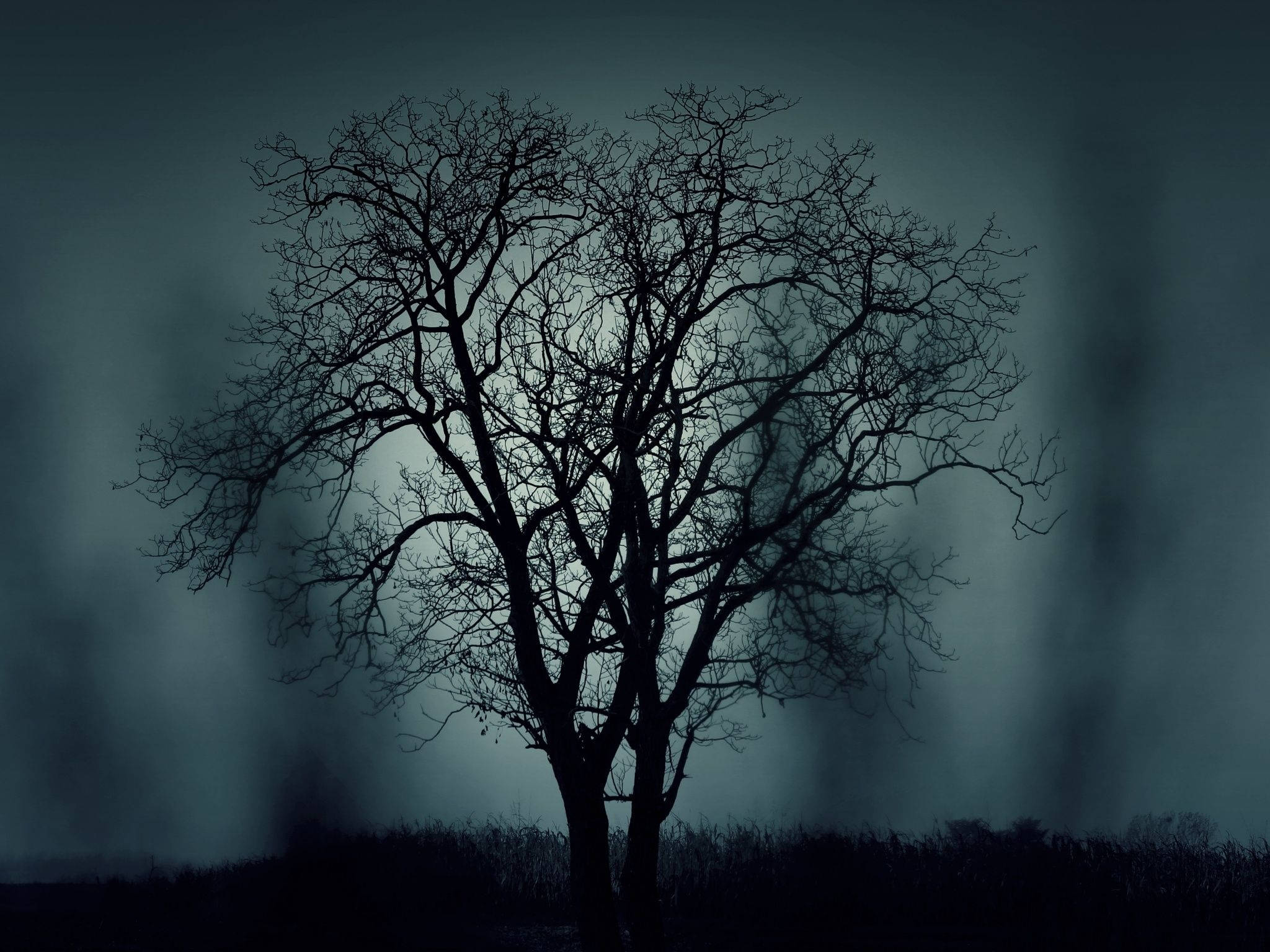 Artă vizuală misterioasă cu un copac fără frunze Fundal