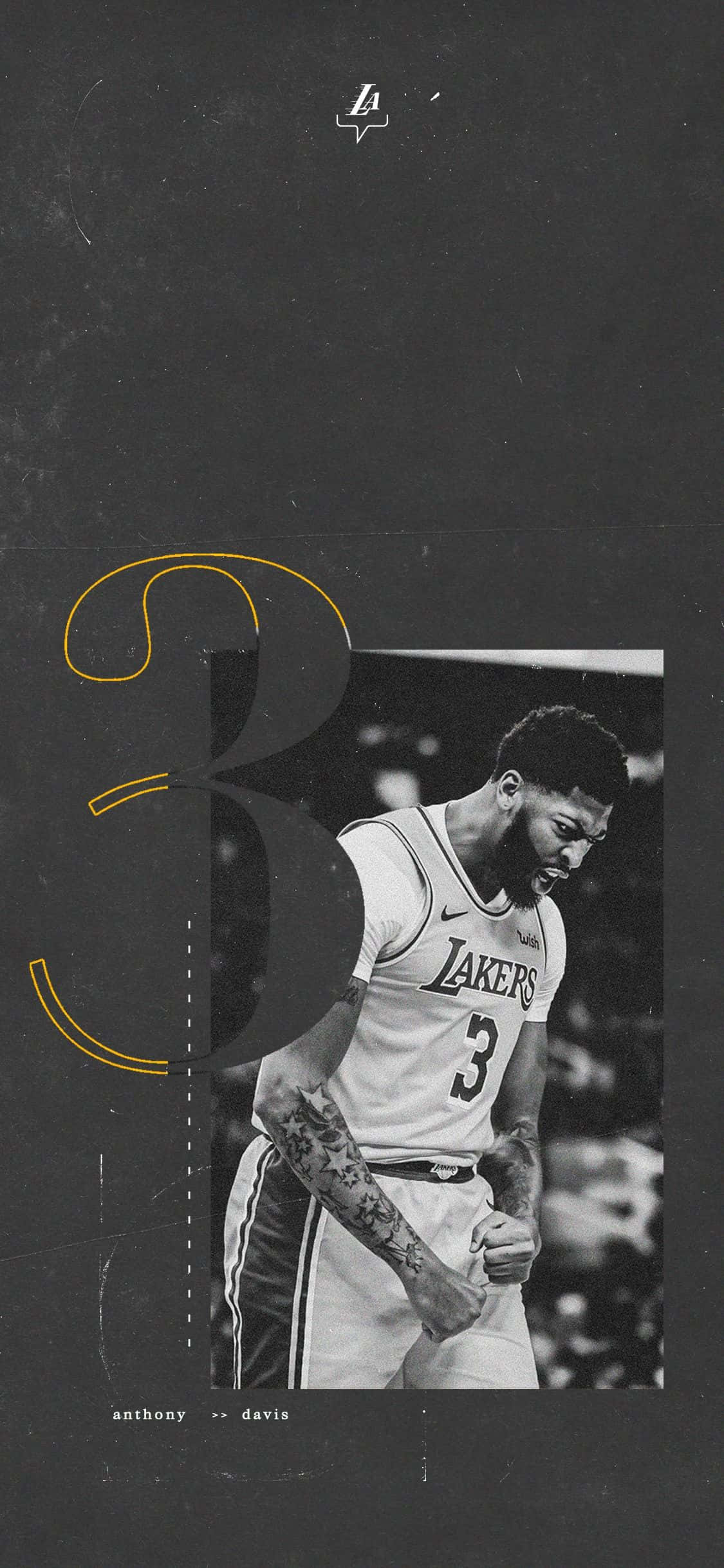 Atacantul Los Angeles Lakers, Anthony Davis Fundal