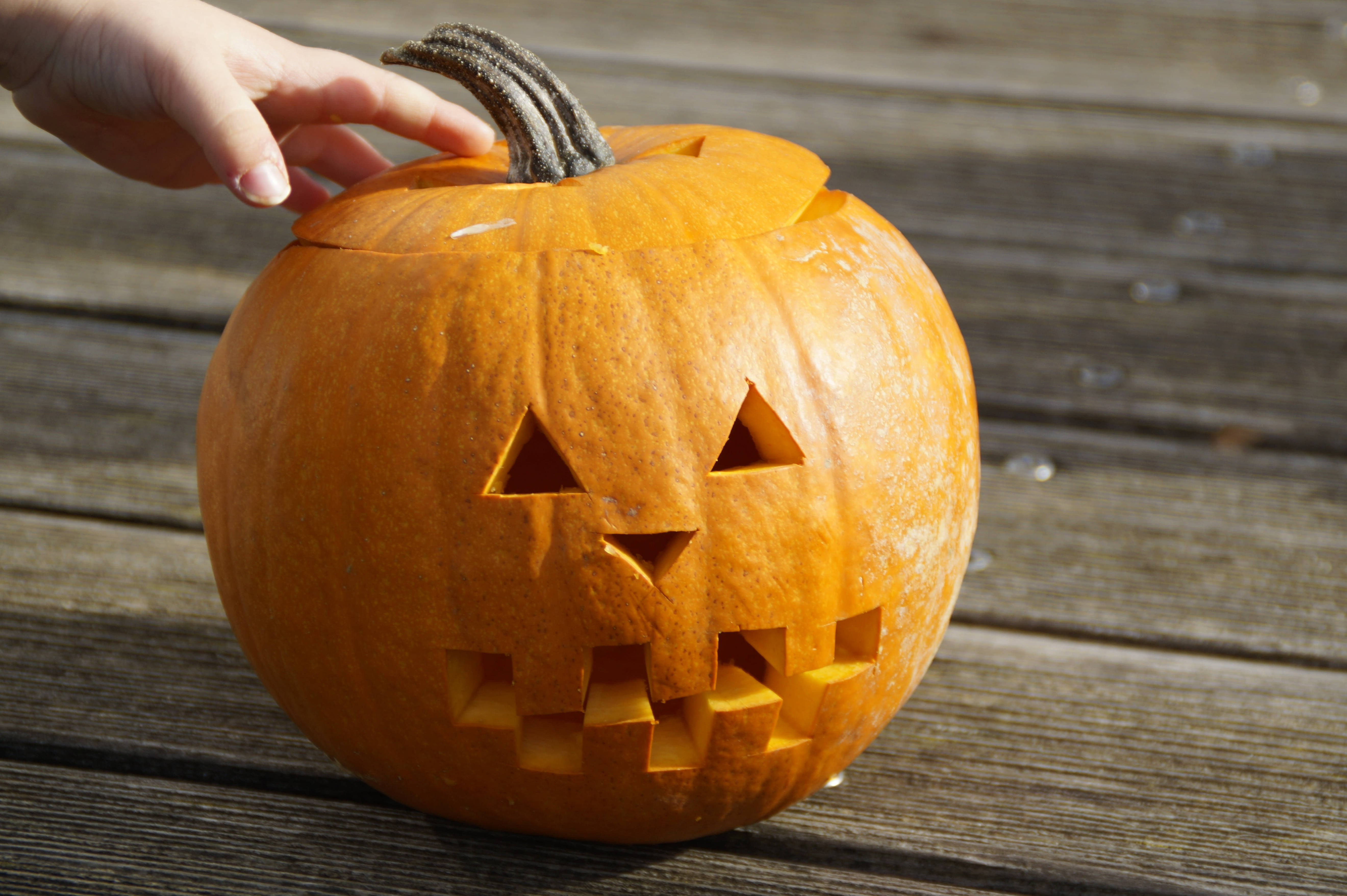 Atingere Drăguță de Dovleac de Halloween Fundal
