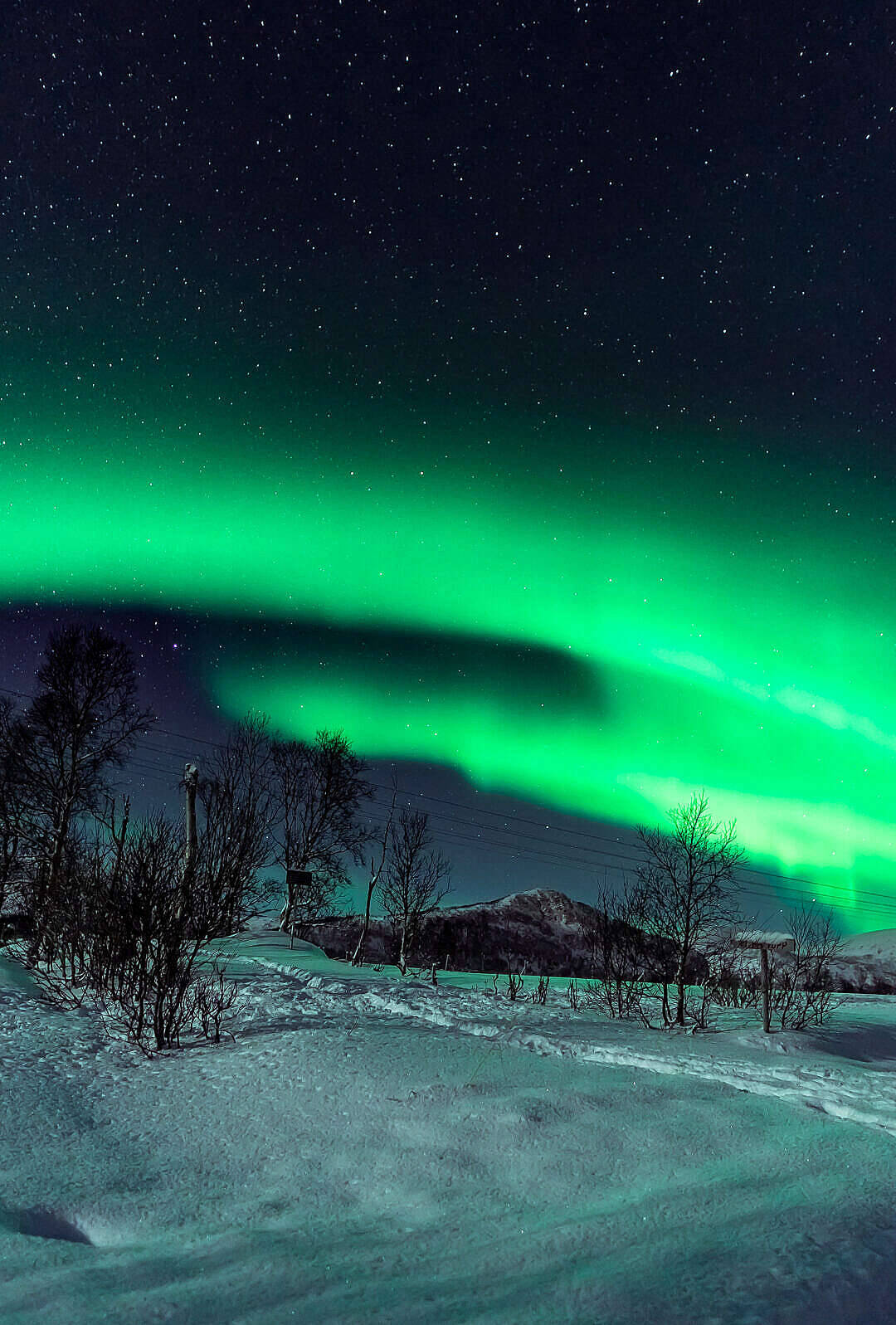Aurora verde peste poteca montană pentru iPhone Fundal