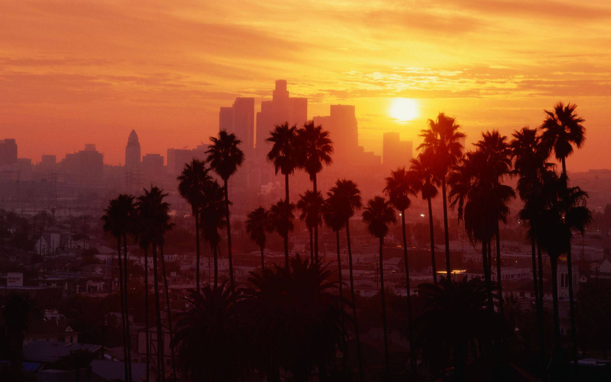 Aurul apusului din Los Angeles Fundal