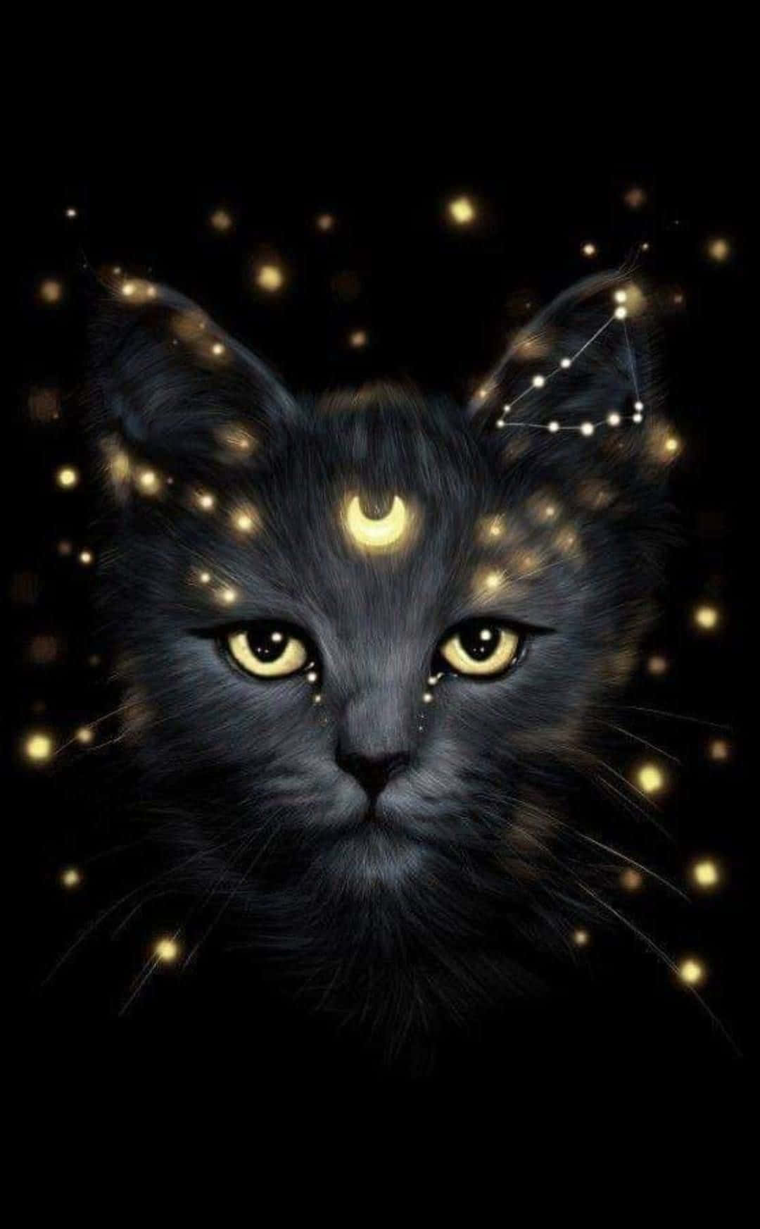 Aventurază-te în Univers cu Galaxy Cat Fundal