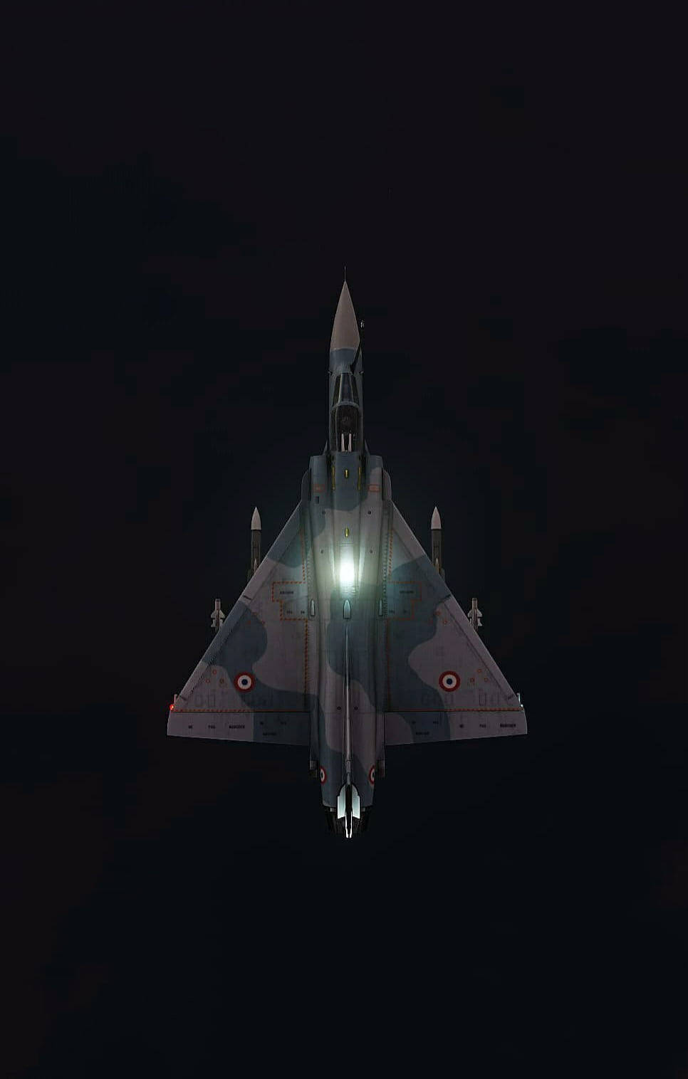 Avion de vânătoare camuflat Fundal