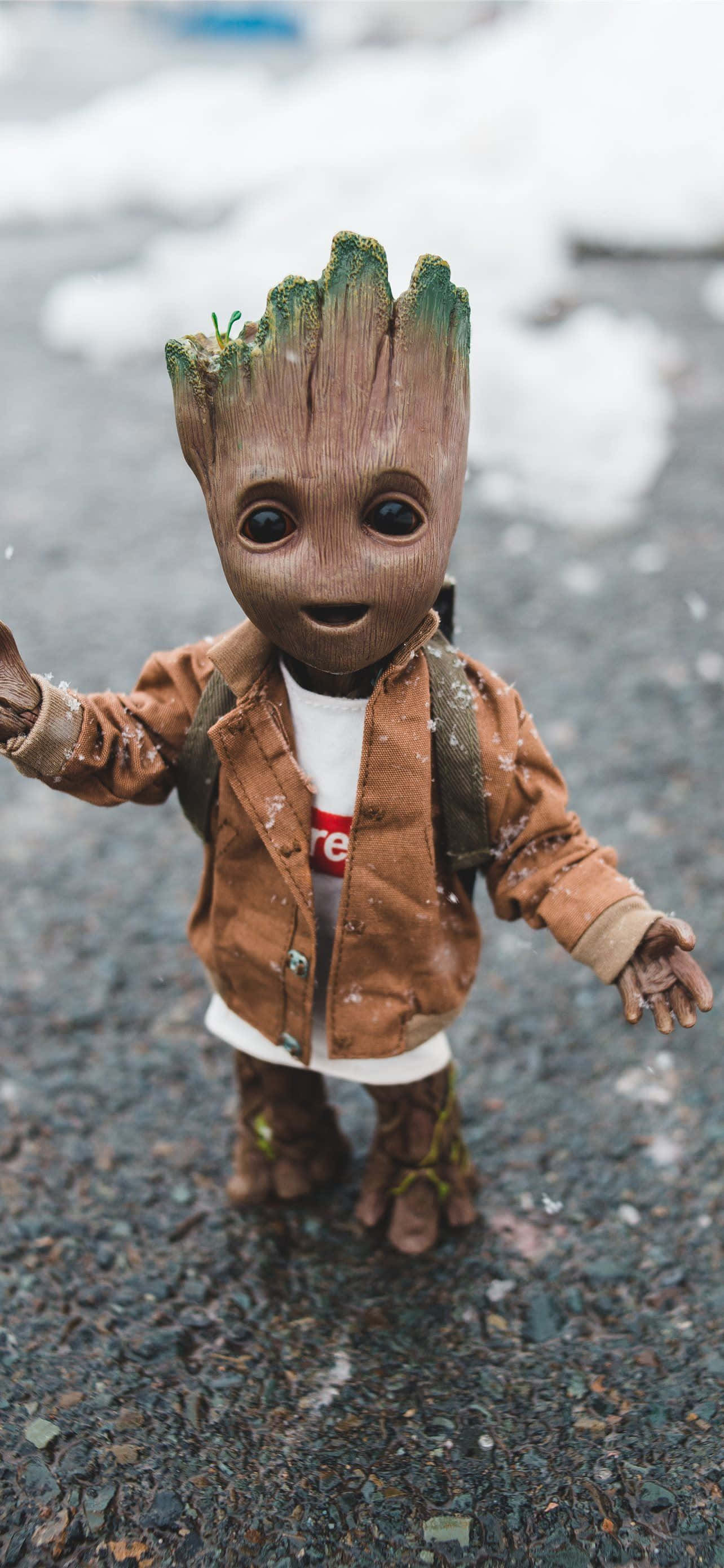 Profil Baby Groot Fundal