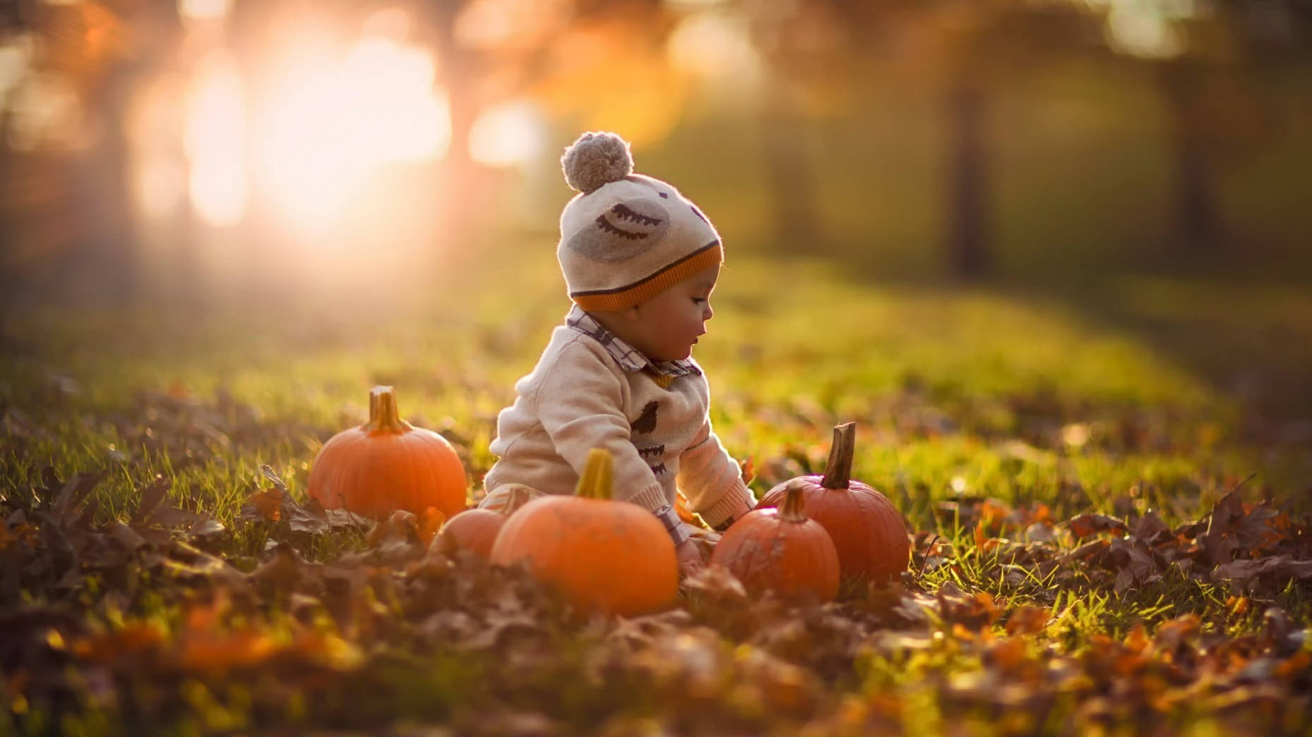 Bebeluș drăguț de Halloween în parc Fundal