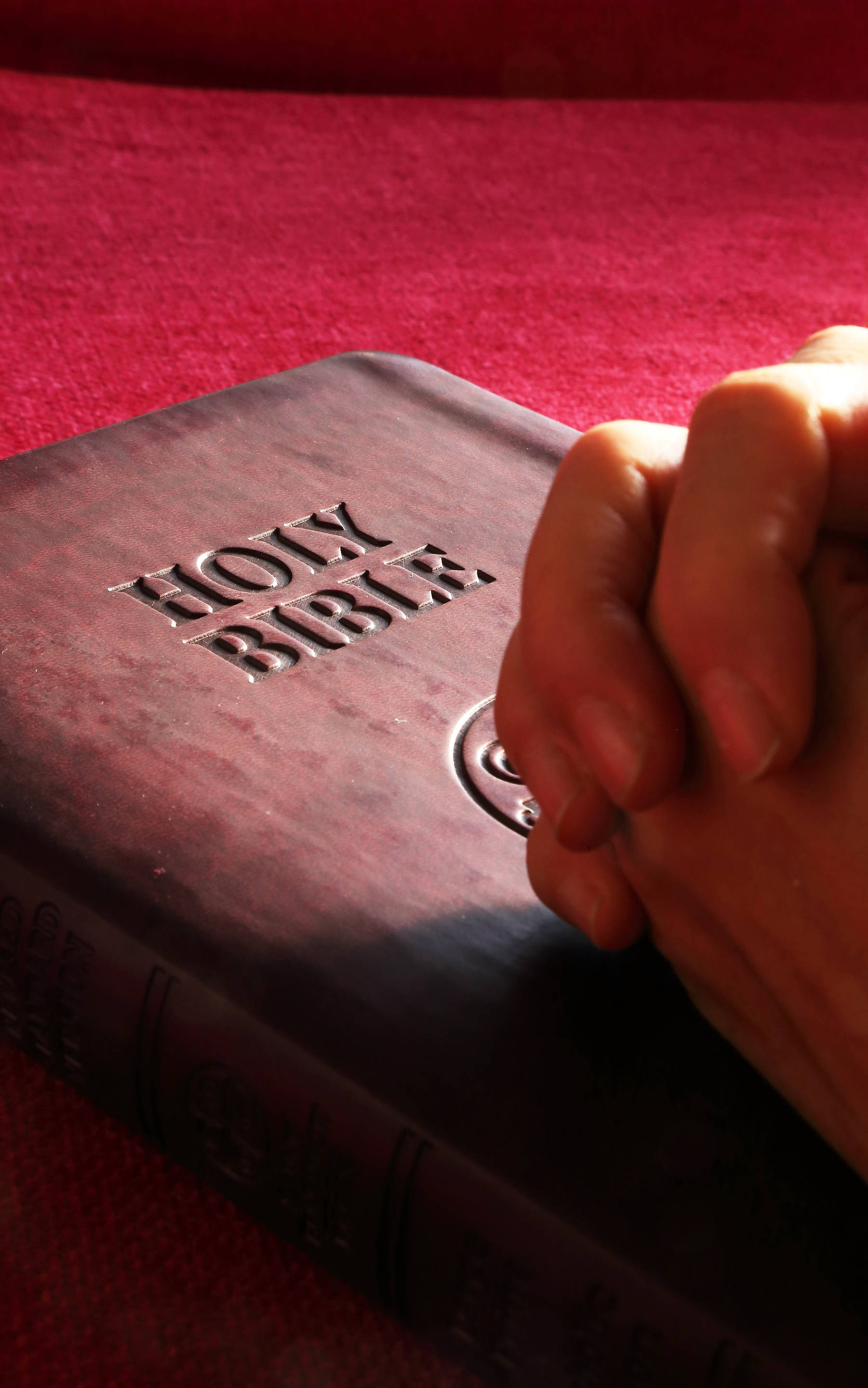 Biblia Sacra Catolică Fundal