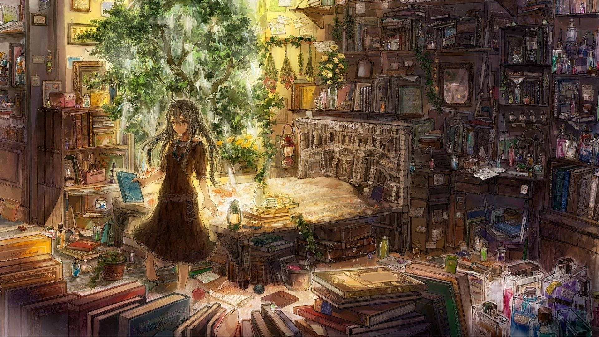 Bibliotecă Anime Room Fundal