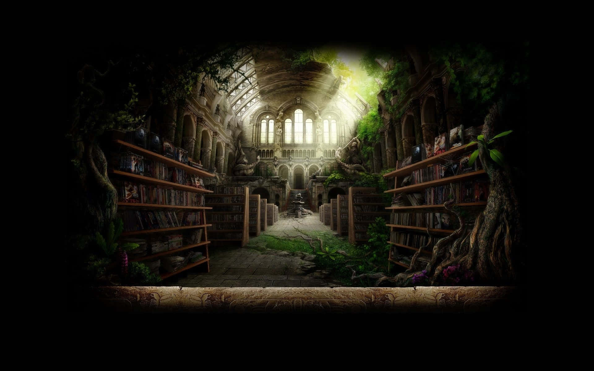 Bibliotecă în ruinele unui castel Fundal
