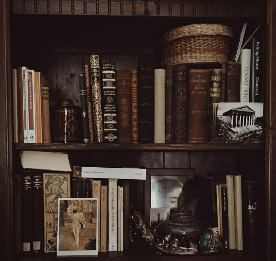 Bibliotecă în stil Dark Academia Fundal