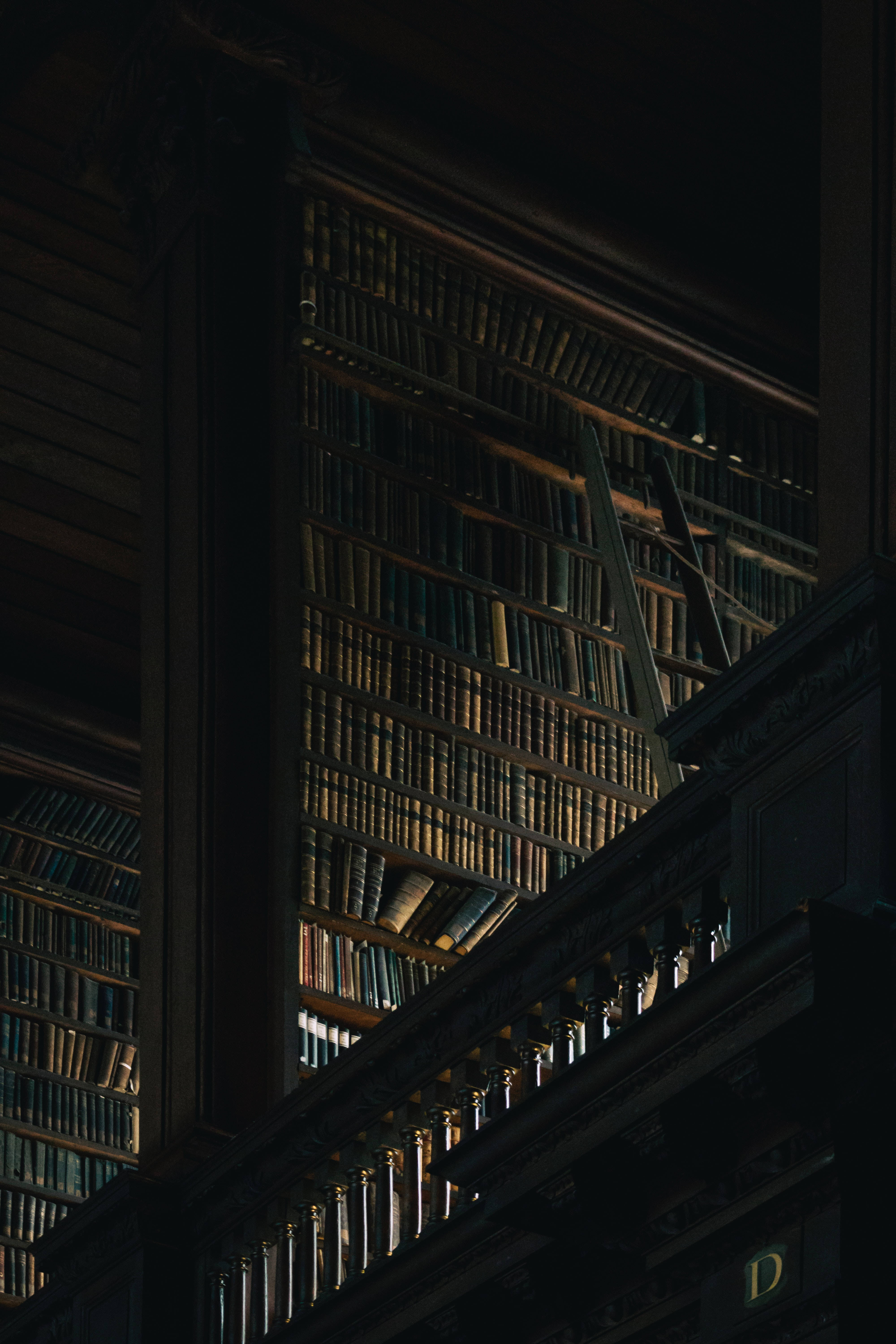 Bibliotecă întunecată estetică Fundal